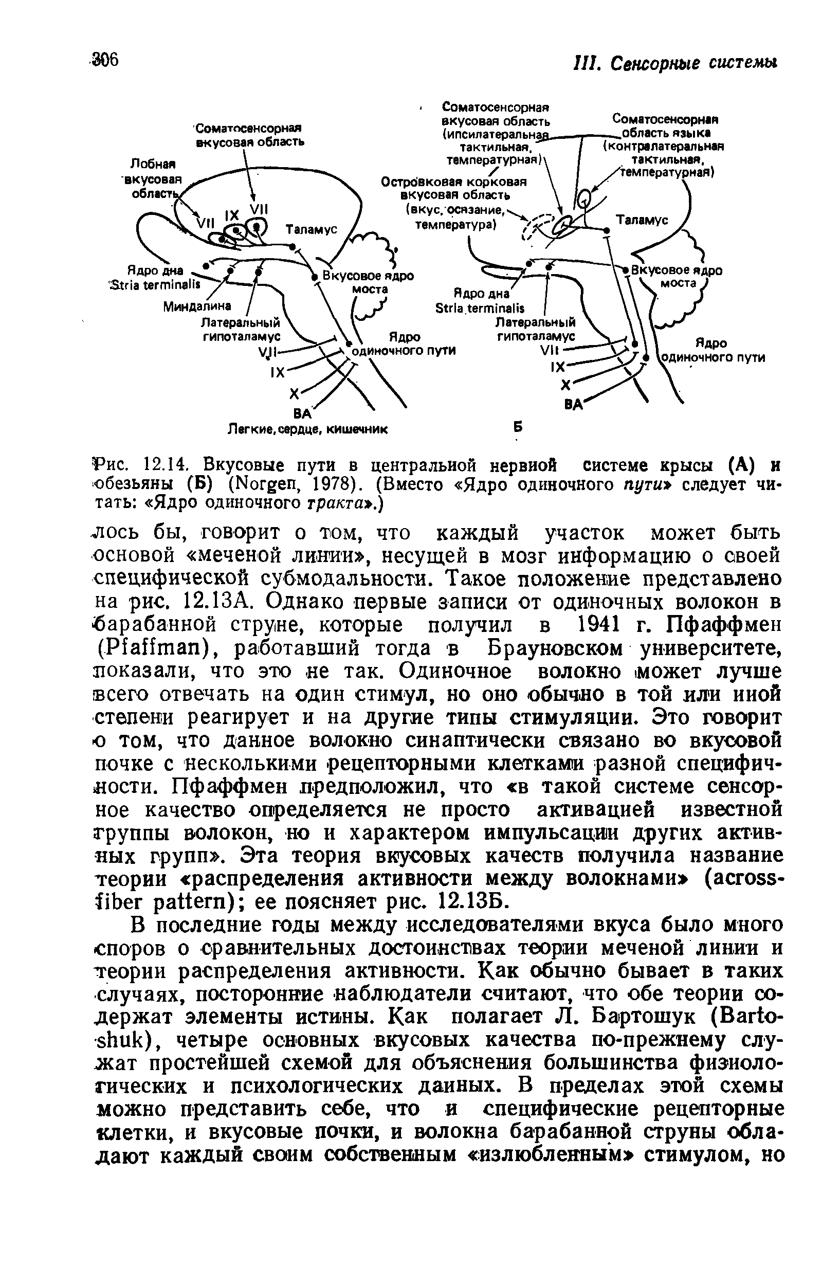 Рис. 12.14. Вкусовые пути в центральной нервной системе крысы (А) и обезьяны (Б) (N , 1978). (Вместо Ядро одиночного пути следует читать Ядро одиночного тракта .)...