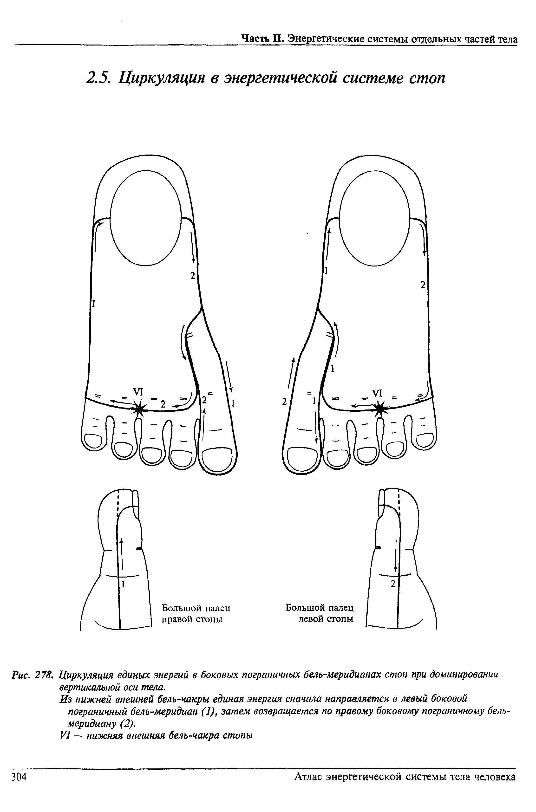Рис. 278. Циркуляция единых энергий в боковых пограничных бель-меридианах стоп при доминировании вертикальной оси тела.