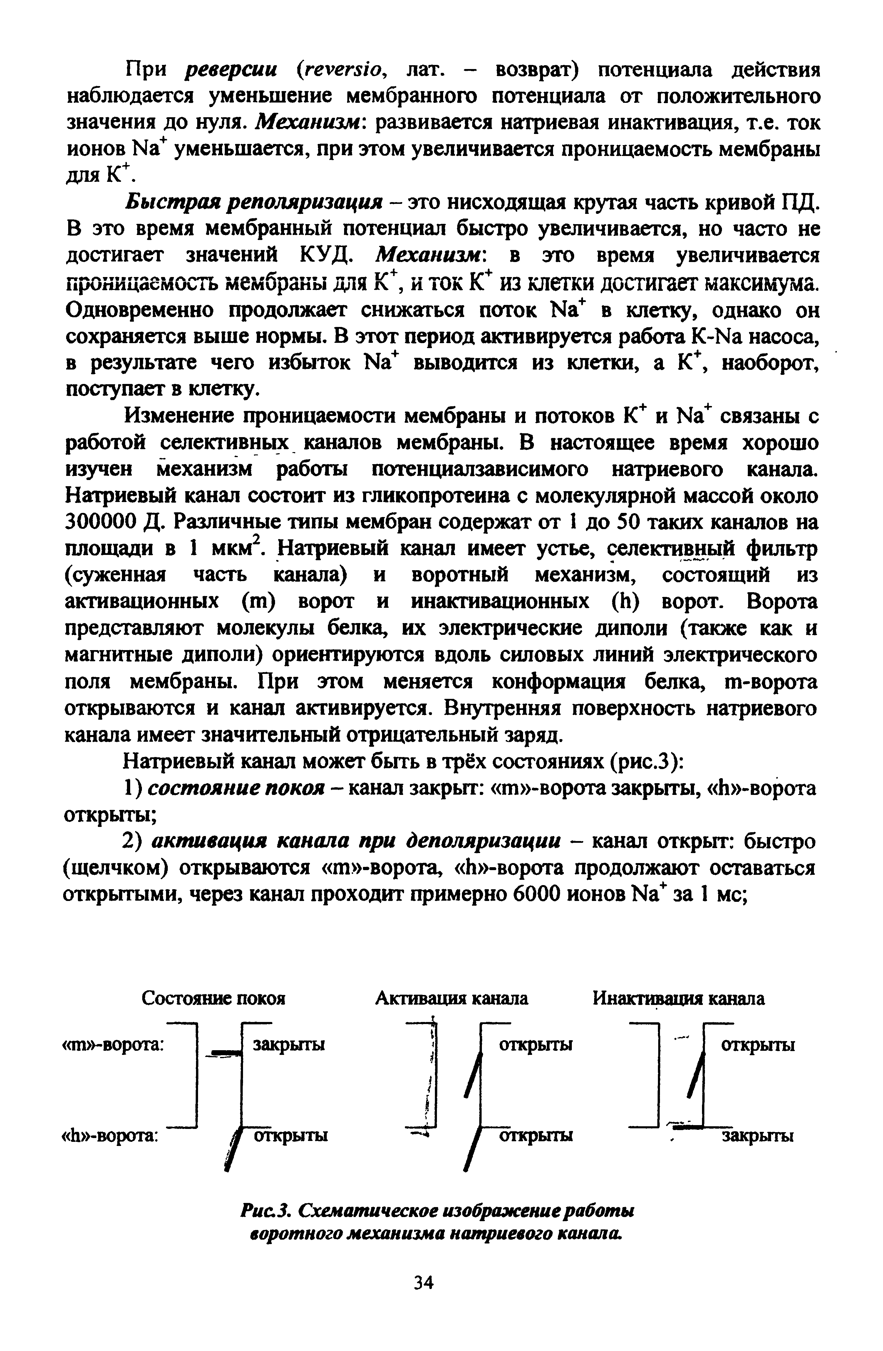 Рис. 3. Схематическое изображение работы воротного механизма натриевого канала.