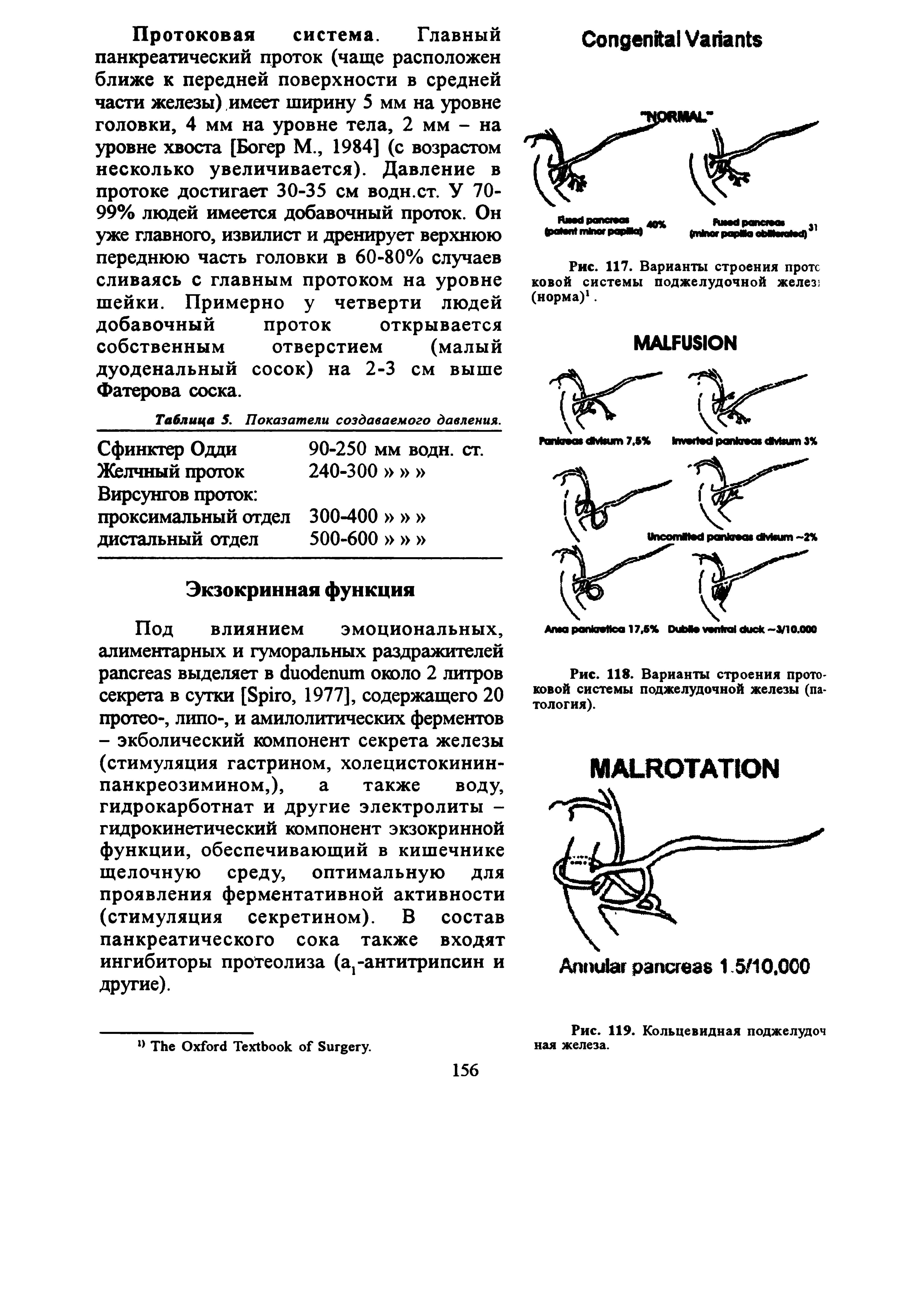 Рис. 117. Варианты строения протс ко вой системы поджелудочной желез (норма)1.