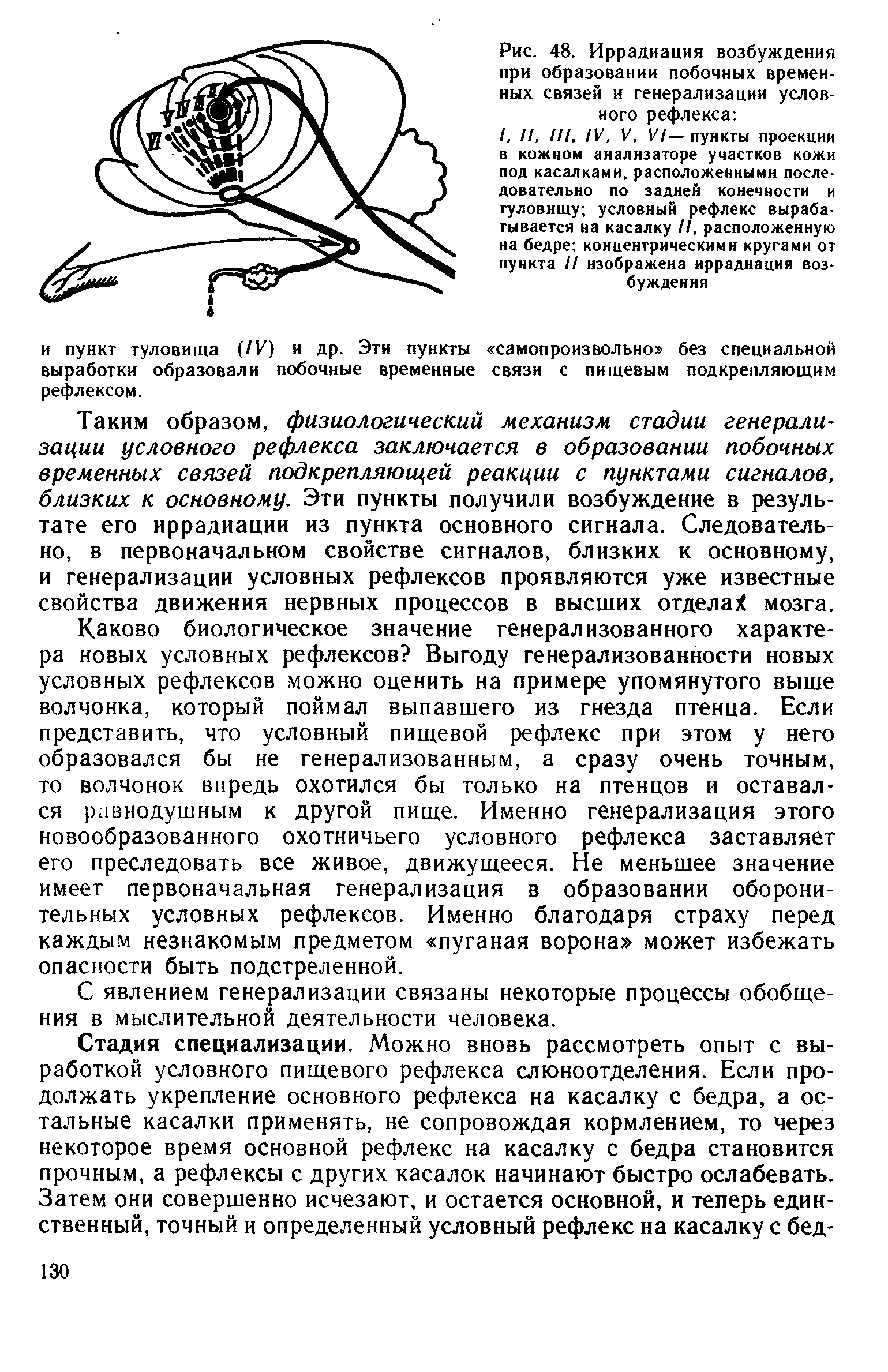 Рис. 48. Иррадиация возбуждения при образовании побочных временных связей и генерализации условного рефлекса ...