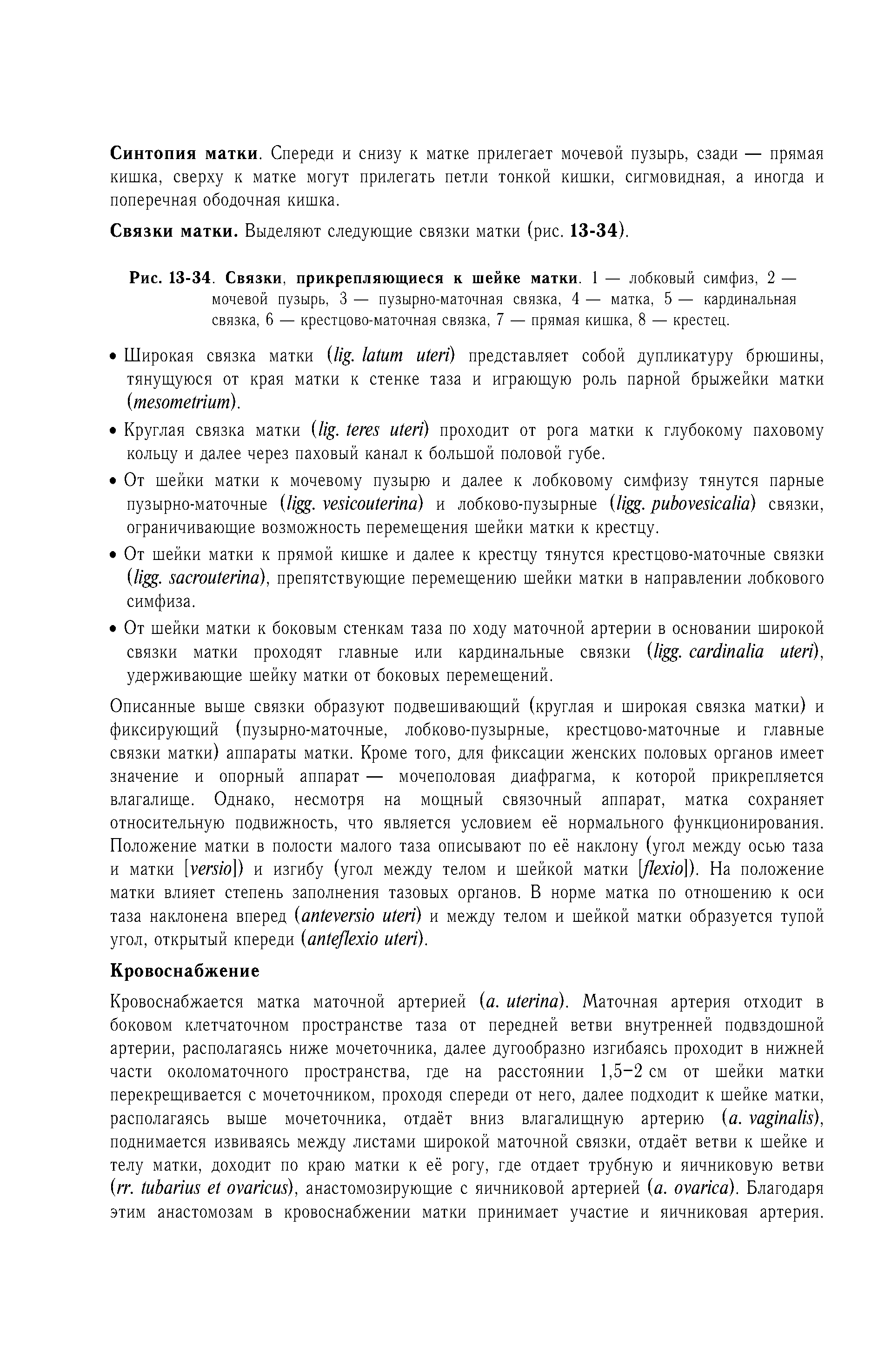 Рис. 13-34. Связки, прикрепляющиеся к шейке матки. 1 — лобковый симфиз, 2 — мочевой пузырь, 3 — пузырно-маточная связка, 4 — матка, 5 — кардинальная связка, 6 — крестцово-маточная связка, 7 — прямая кишка, 8 — крестец.