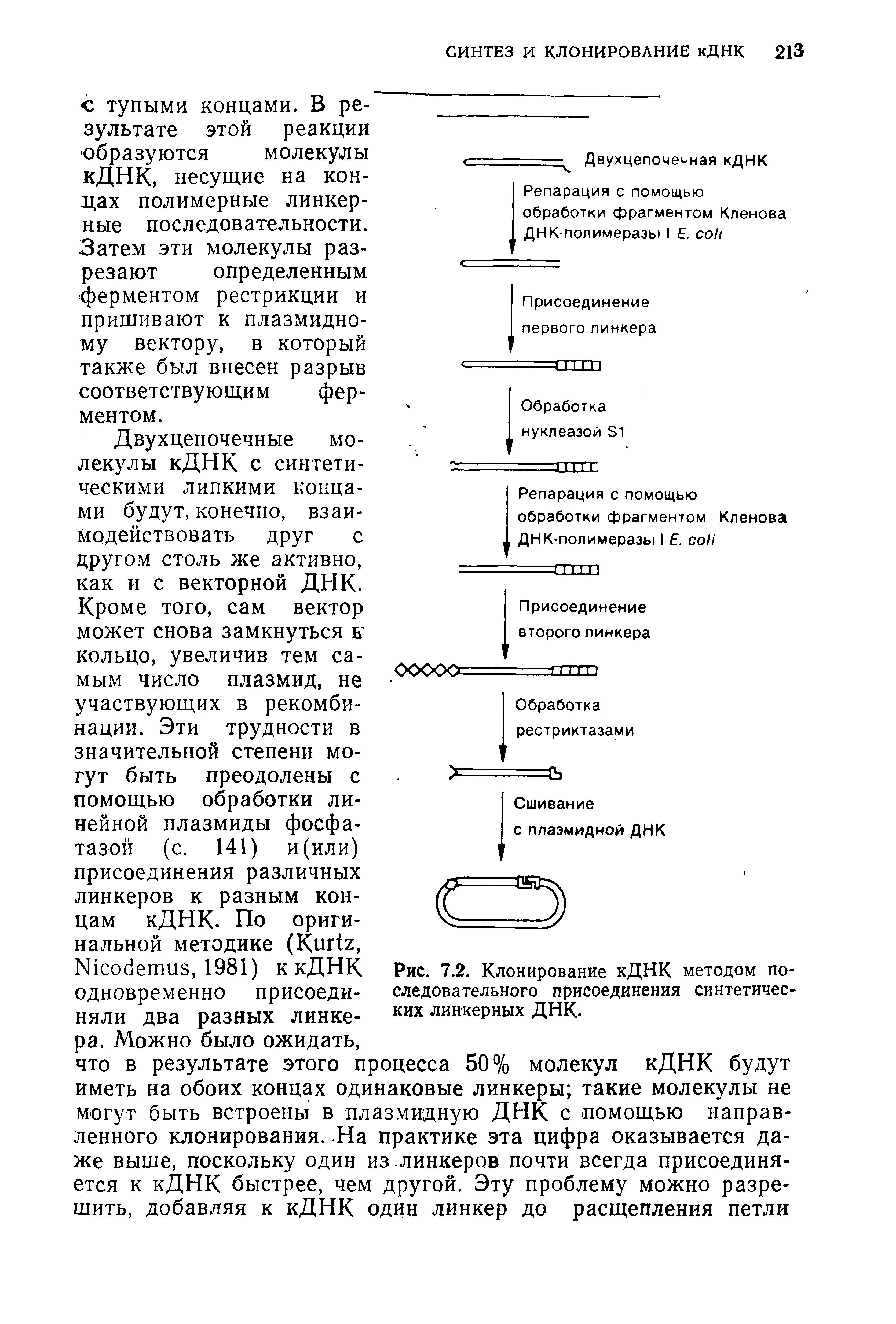 Рис. 7.2. Клонирование кДНК методом последовательного присоединения синтетических линкерных ДНК.