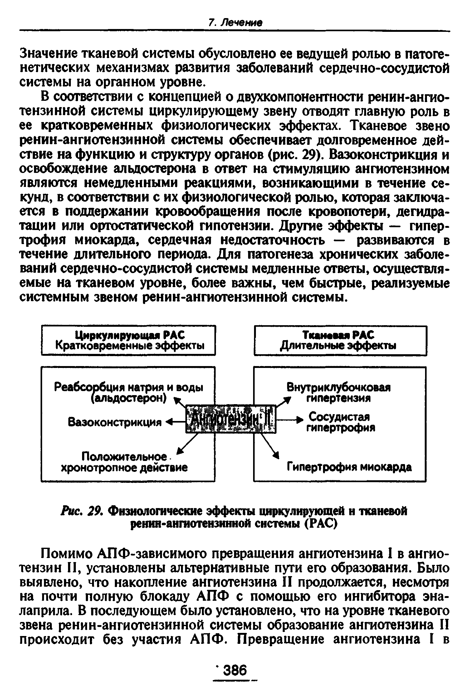 Рис. 29. Физиологические эффекты циркулирующей и тканевой ренин-ангиотензинной системы (РАС)...