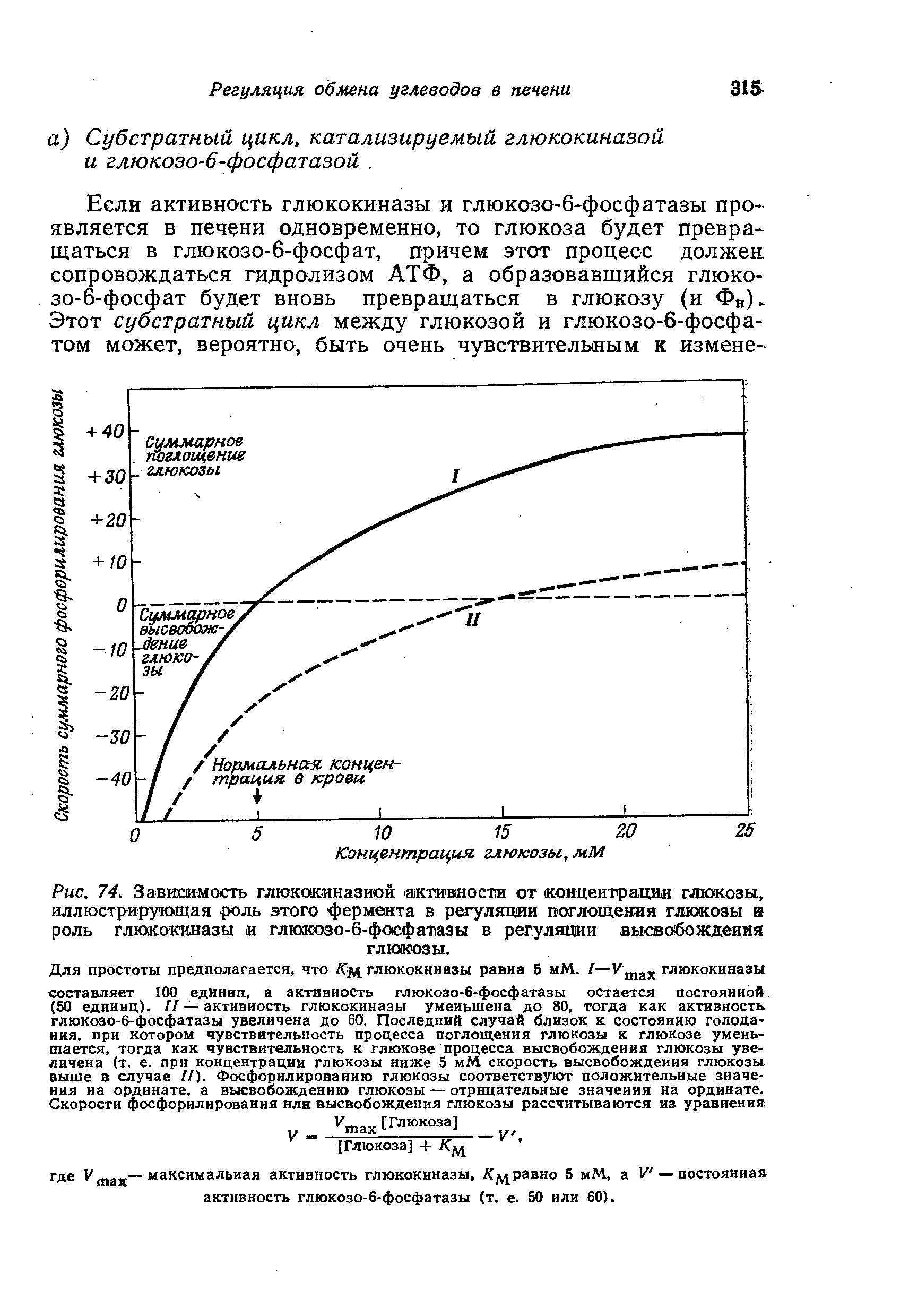 Рис. 74, Зависимость глюкокиназной активности от концентрации глюкозы, иллюстрирующая роль этого фермента в регуляции поглощения глюкозы и роль глюкокиназы и глюкозо-6-фосфатазы в регуляции высвобождения глюкозы.
