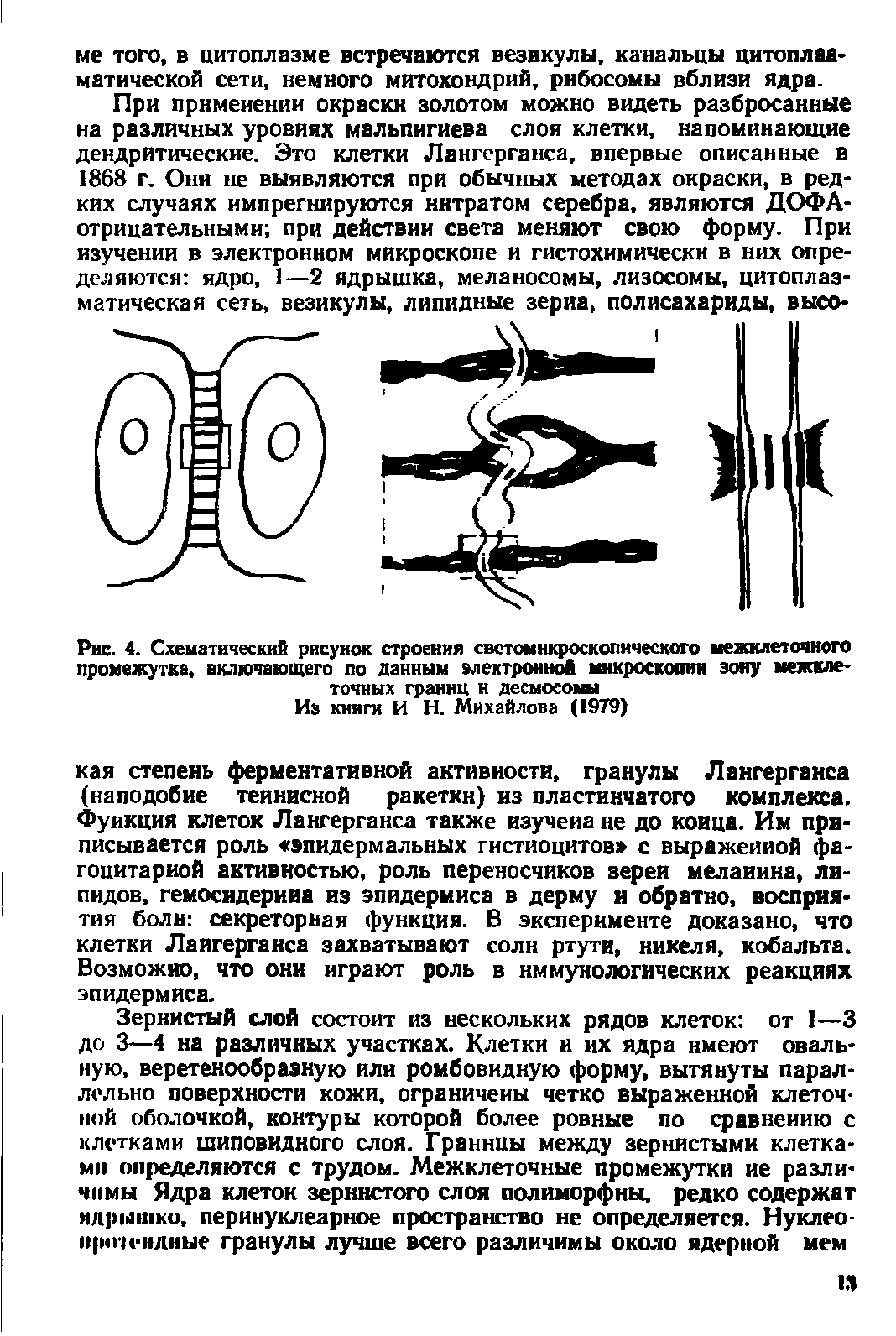 Рис. 4. Схематический рисунок строения свстоынкроскопического межклеточного промежутка, включающего по данным электронной микроскопии зону межклеточных границ н десмосомы Из книги И Н. Михайлова (1979)...