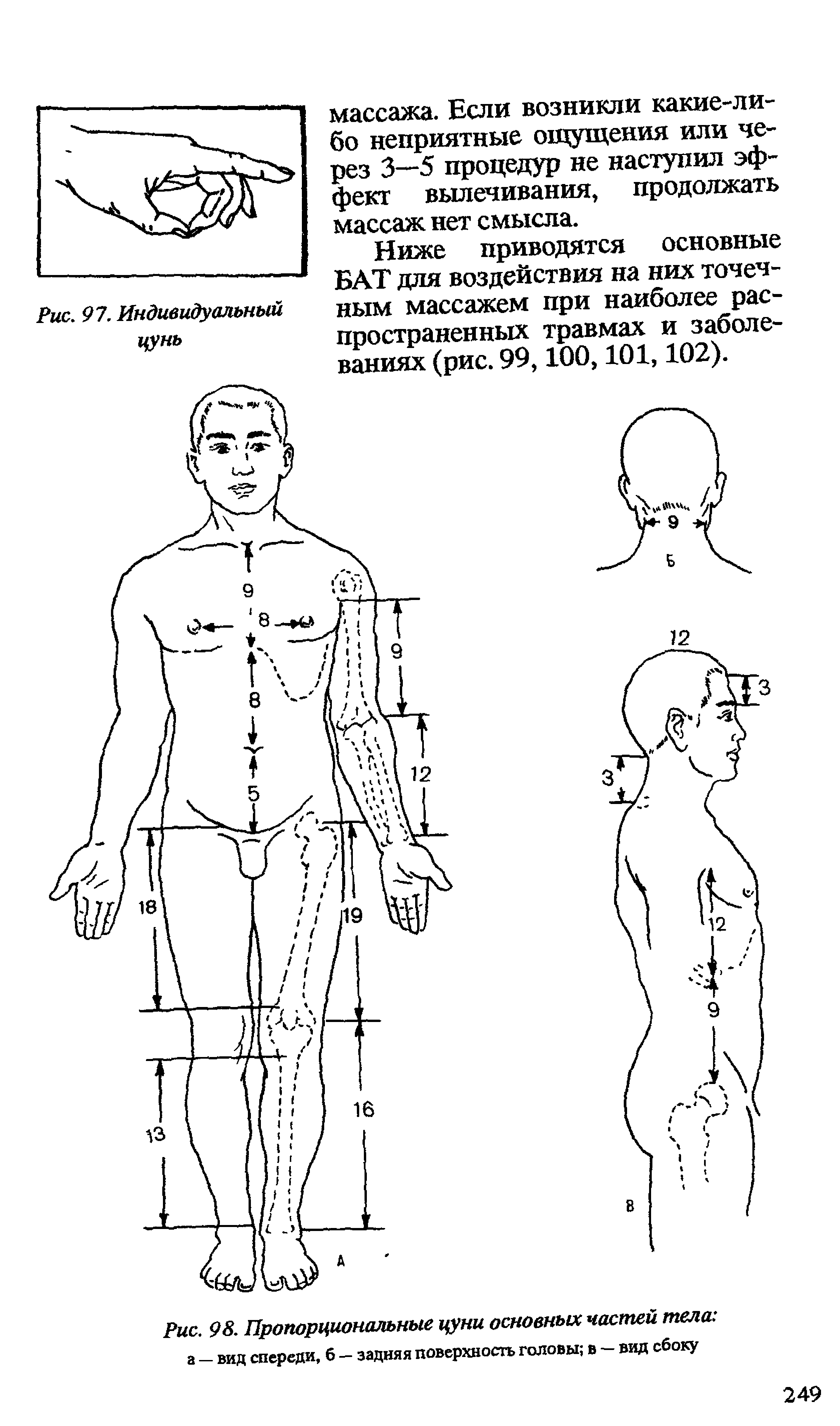 Рис. 98. Пропорциональные цуни основных частей тела а — вид спереди, б — задняя поверхность головы в — вид сбоку...