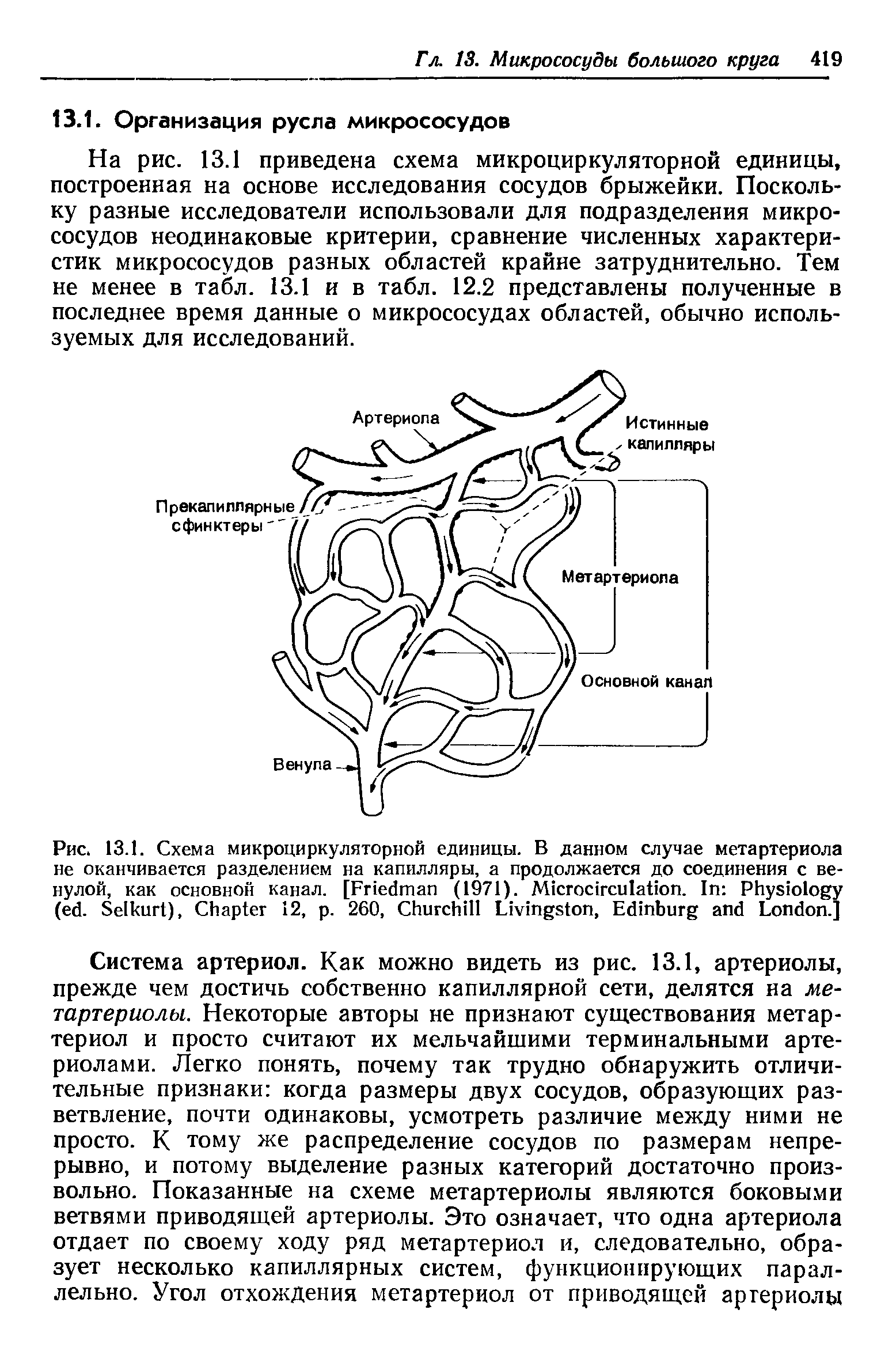 Рис. 13.1. Схема микроциркуляторной единицы. В данном случае метартериола не оканчивается разделением на капилляры, а продолжается до соединения с венулой, как основной канал. [F (1971). M . I P ( . S ), C 12, . 260, C L , E L .]...