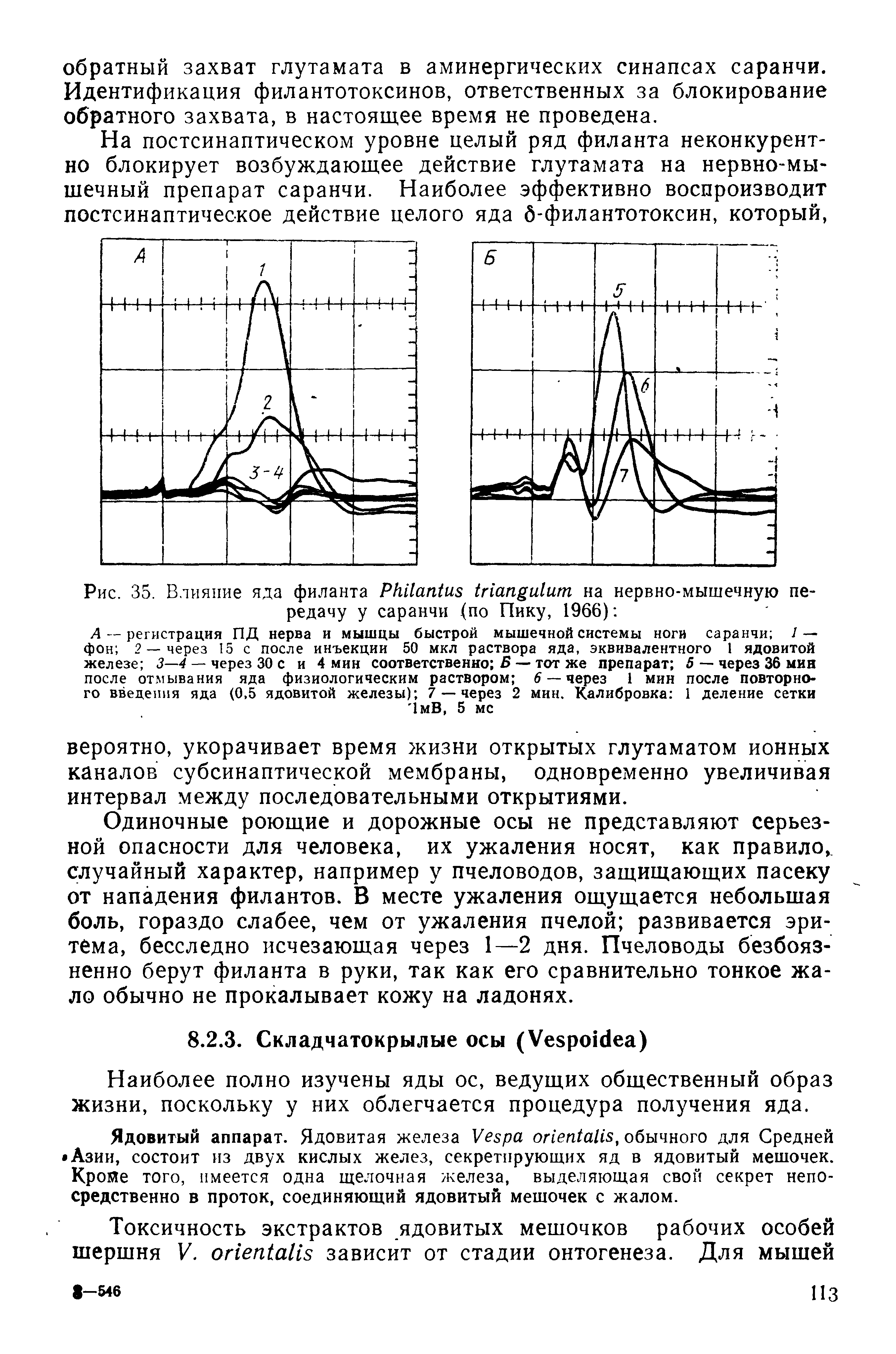 Рис. 35. Влияние яда филанта РНИаМиз 11чап и1ит на нервно-мышечную передачу у саранчи (по Пику, 1966) ...