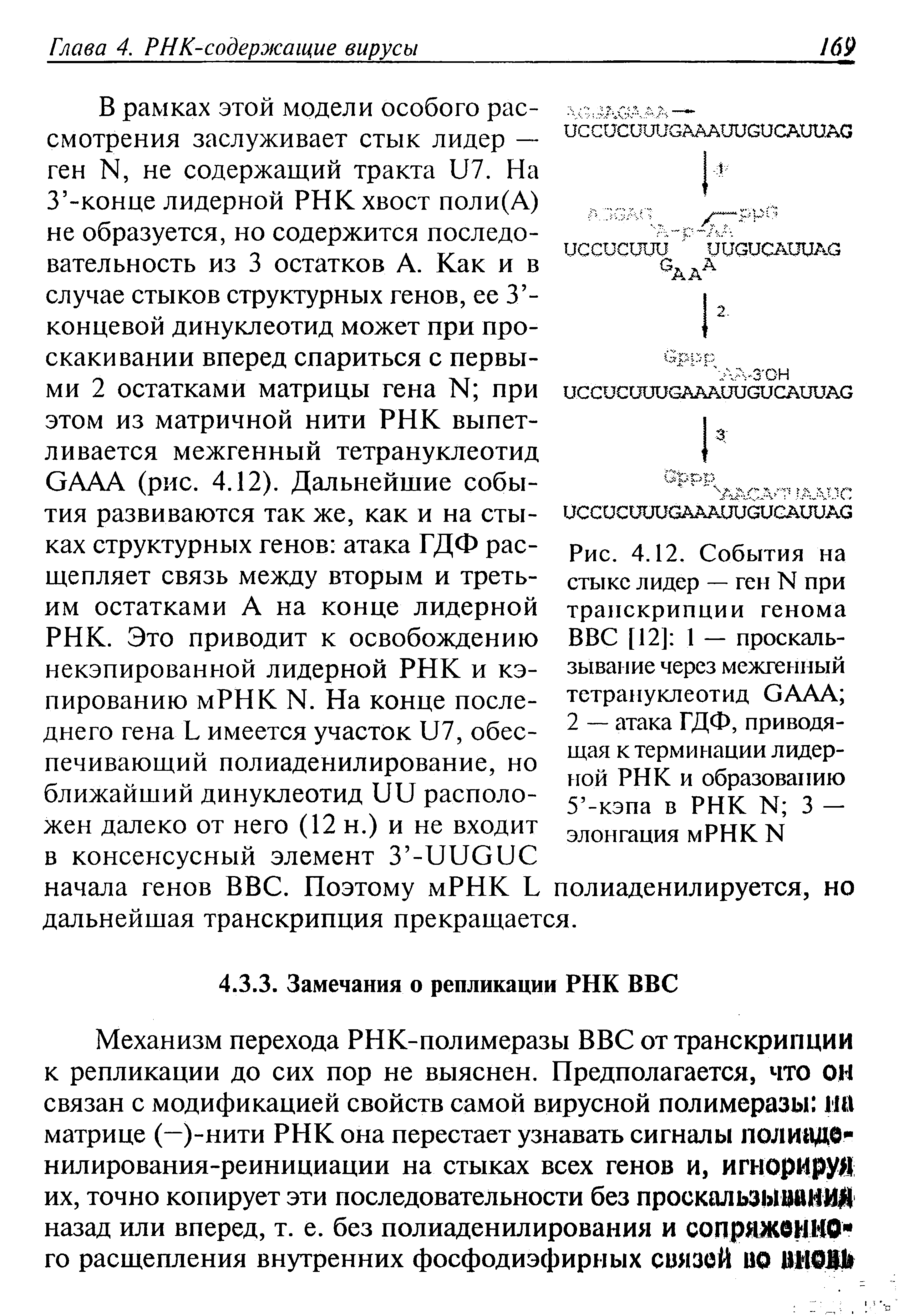 Рис. 4.12. События на стыке лидер — ген N при транскрипции генома ВВС [12] 1 — проскальзывание через межгенный тстрануклеотид СААА 2 — атака ГДФ, приводящая к терминации лидерной РНК и образованию 5 -кэпа в РНК И 3 -элонгация мРНК N...