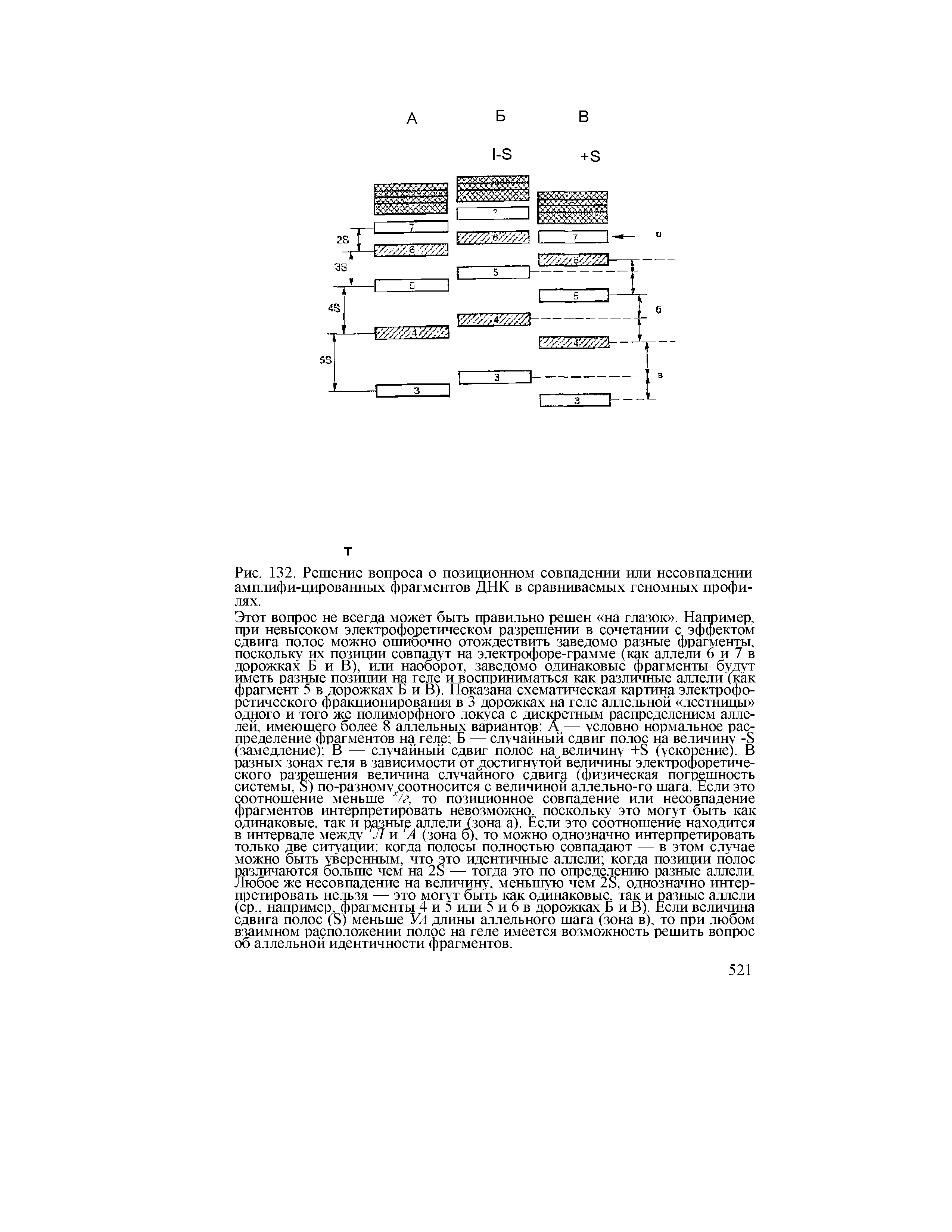 Рис. 132. Решение вопроса о позиционном совпадении или несовпадении амплифи-цированных фрагментов ДНК в сравниваемых геномных профилях.