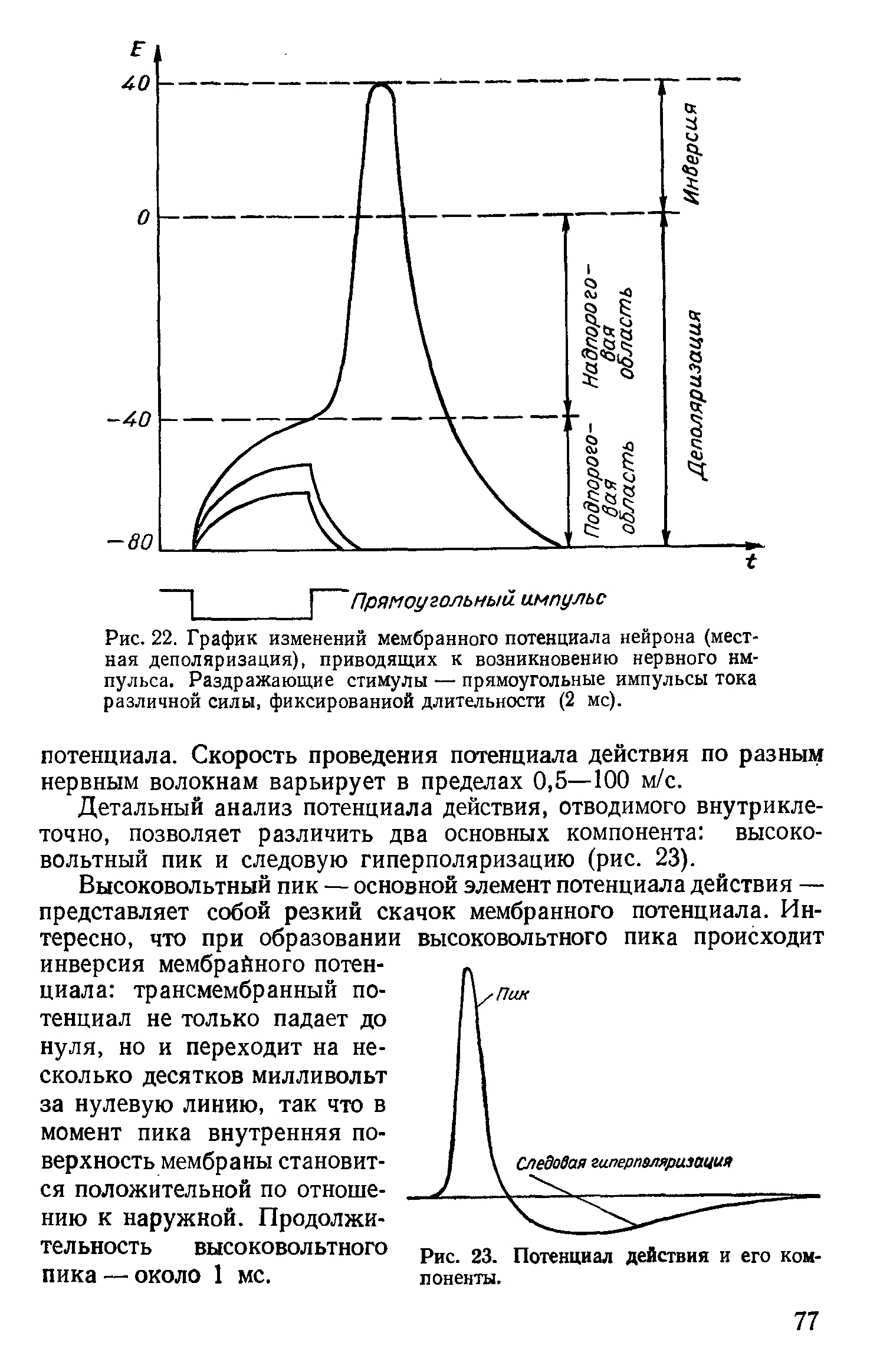 Рис. 22. График изменений мембранного потенциала нейрона (местная деполяризация), приводящих к возникновению нервного импульса. Раздражающие стимулы — прямоугольные импульсы тока различной силы, фиксированной длительности (2 мс).