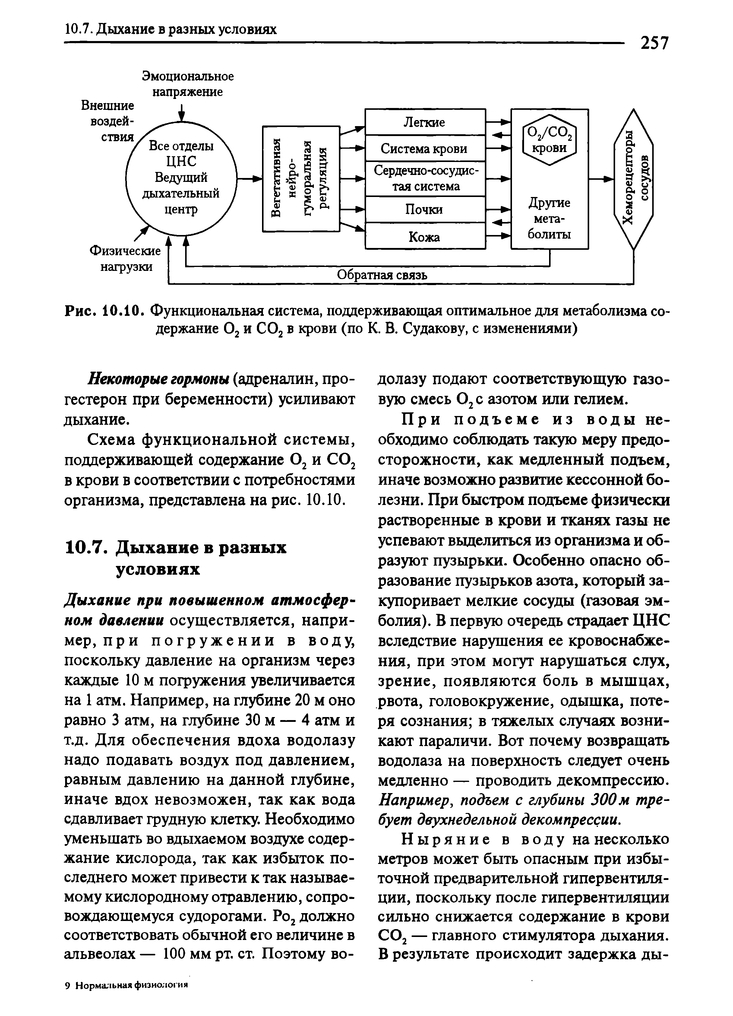 Рис. 10.10. Функциональная система, поддерживающая оптимальное для метаболизма содержание О2 и СО2 в крови (по К. В. Судакову, с изменениями)...