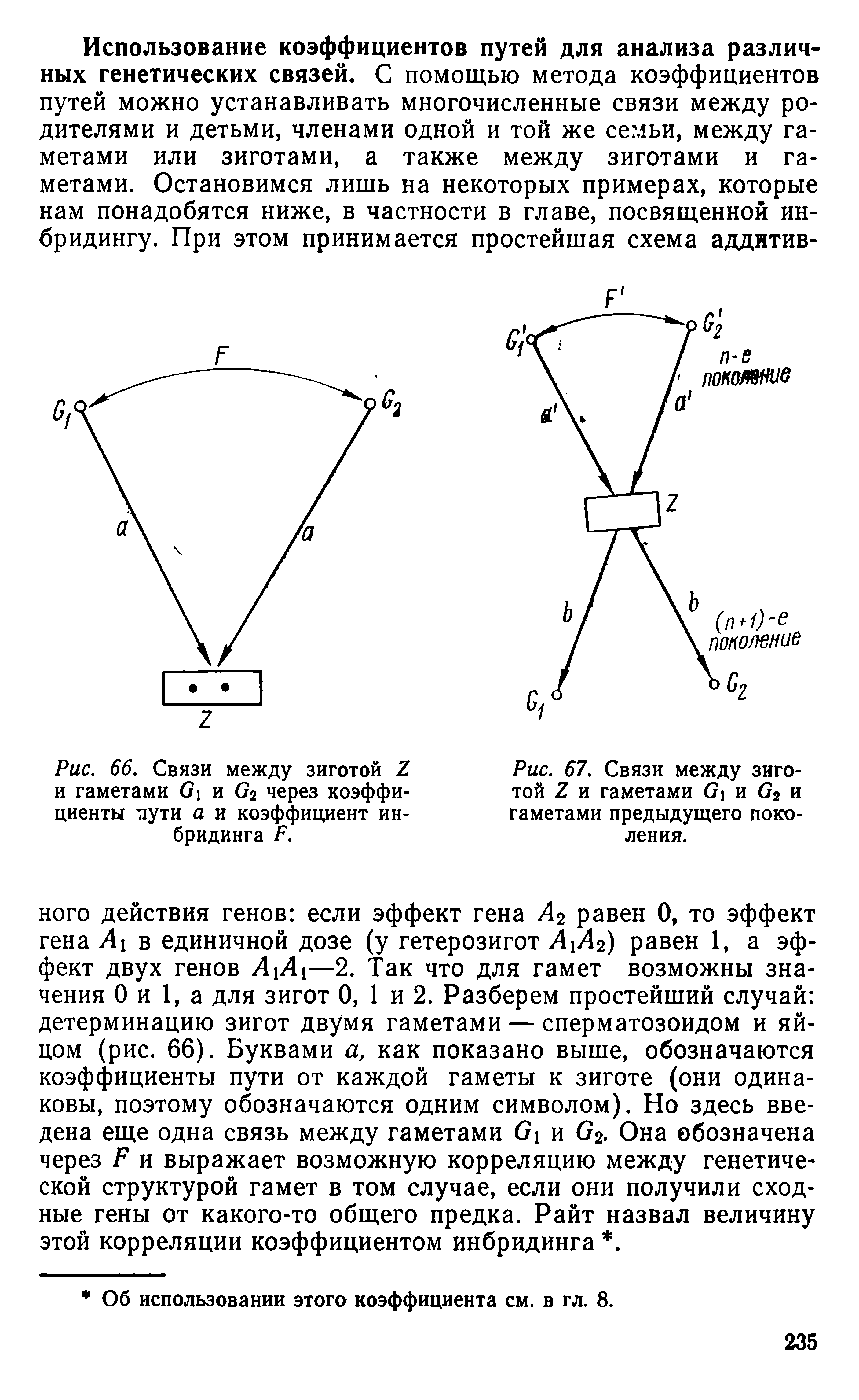 Рис. 66. Связи между зиготой 2 и гаметами 61 и 62 через коэффициенты пути а и коэффициент инбридинга Л...
