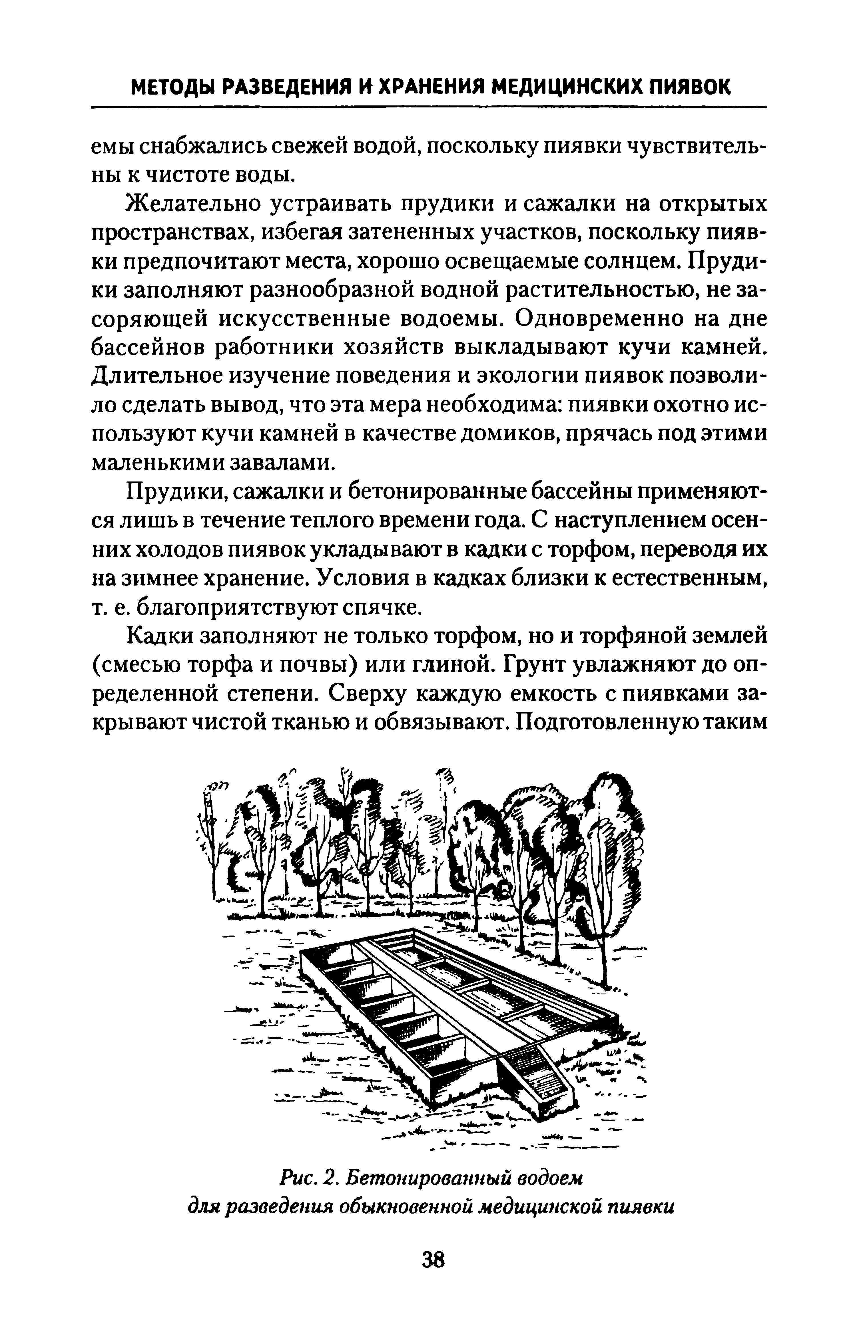 Рис. 2. Бетонированный водоем для разведения обыкновенной медицинской пиявки...