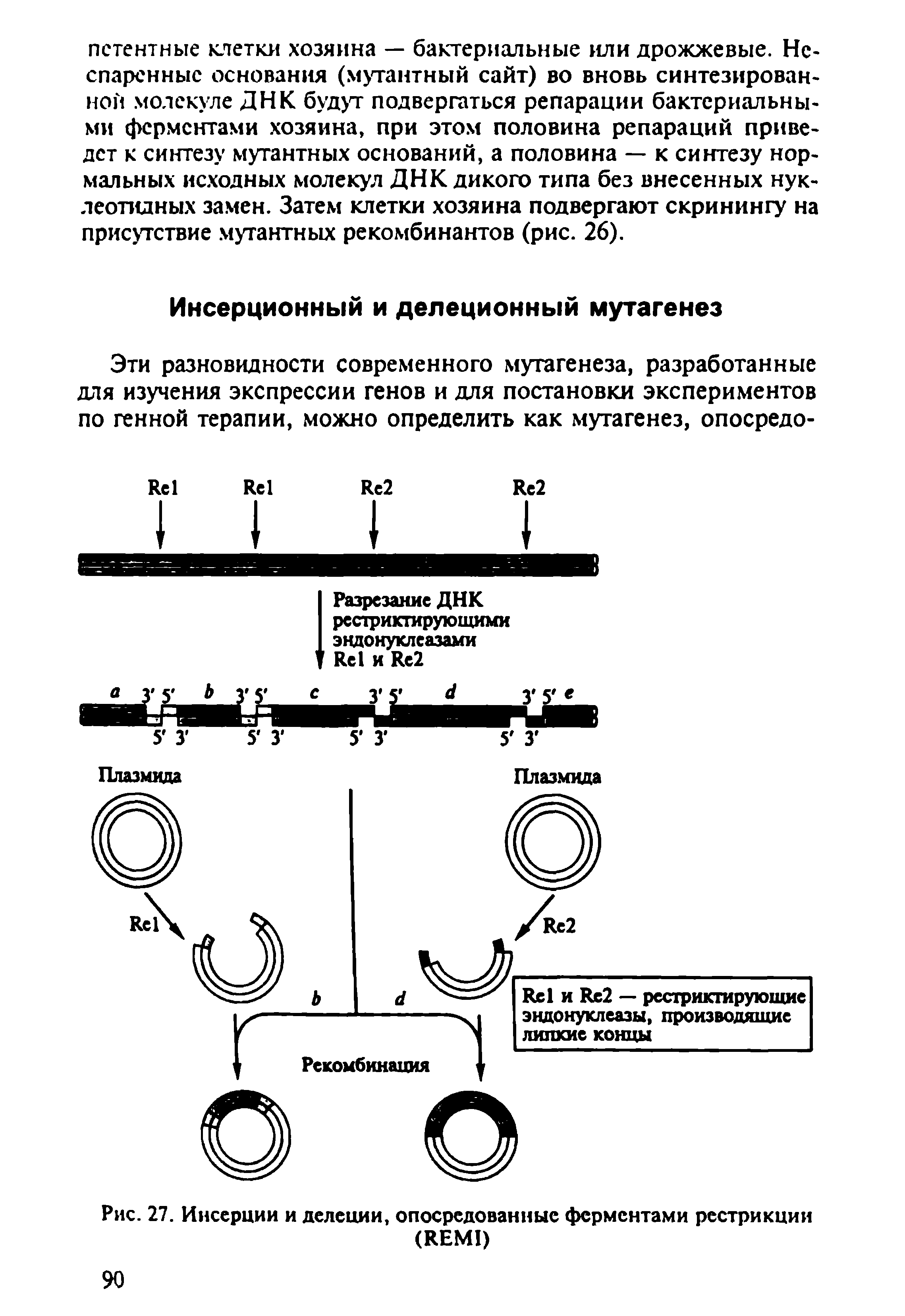 Рис. 27. Инсерции и делеции, опосредованные ферментами рестрикции (ИЕМ1)...