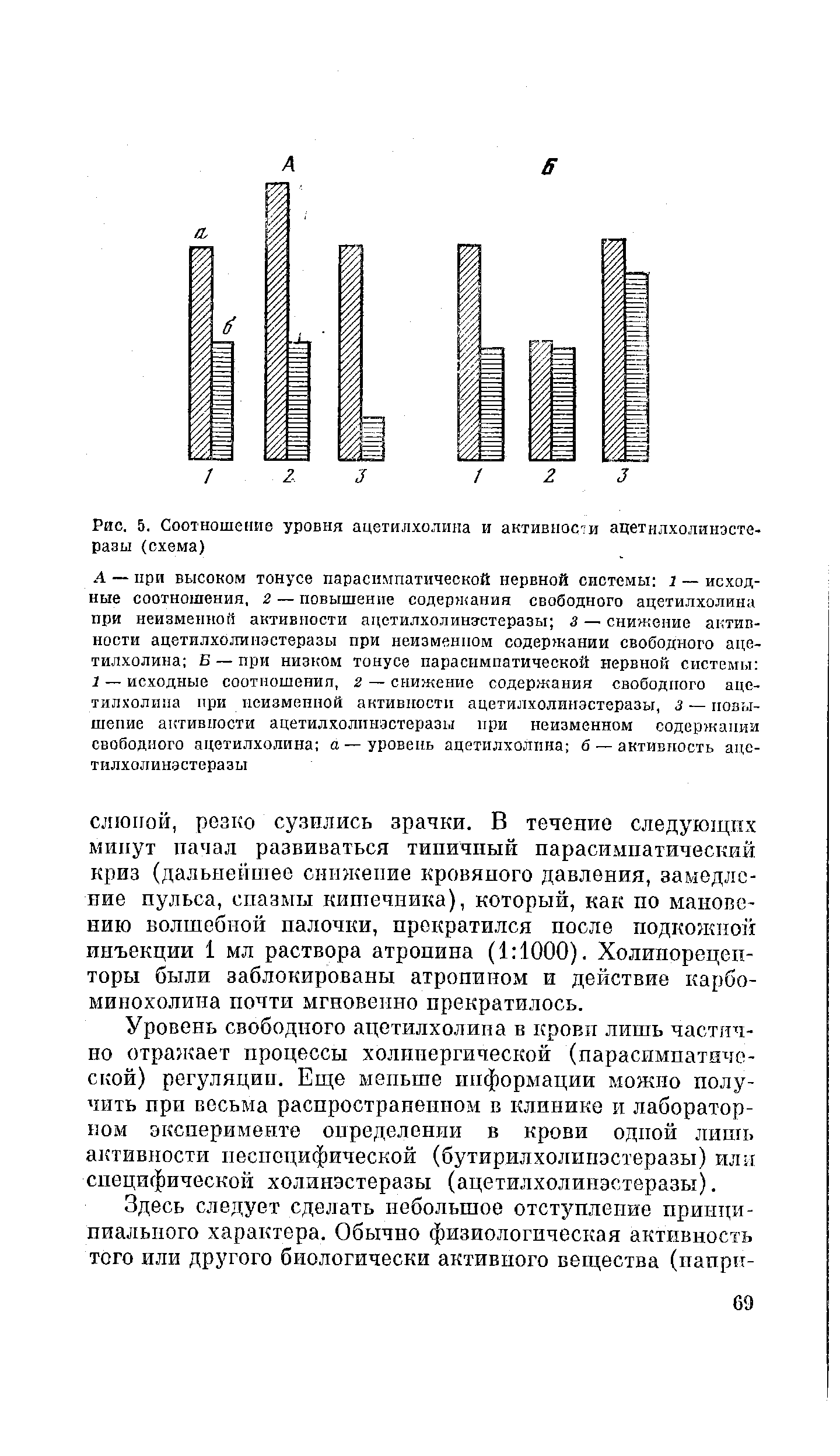 Рис. 5. Соотношение уровня ацетилхолина и активности ацетнлхолинэсте-разы (схема)...