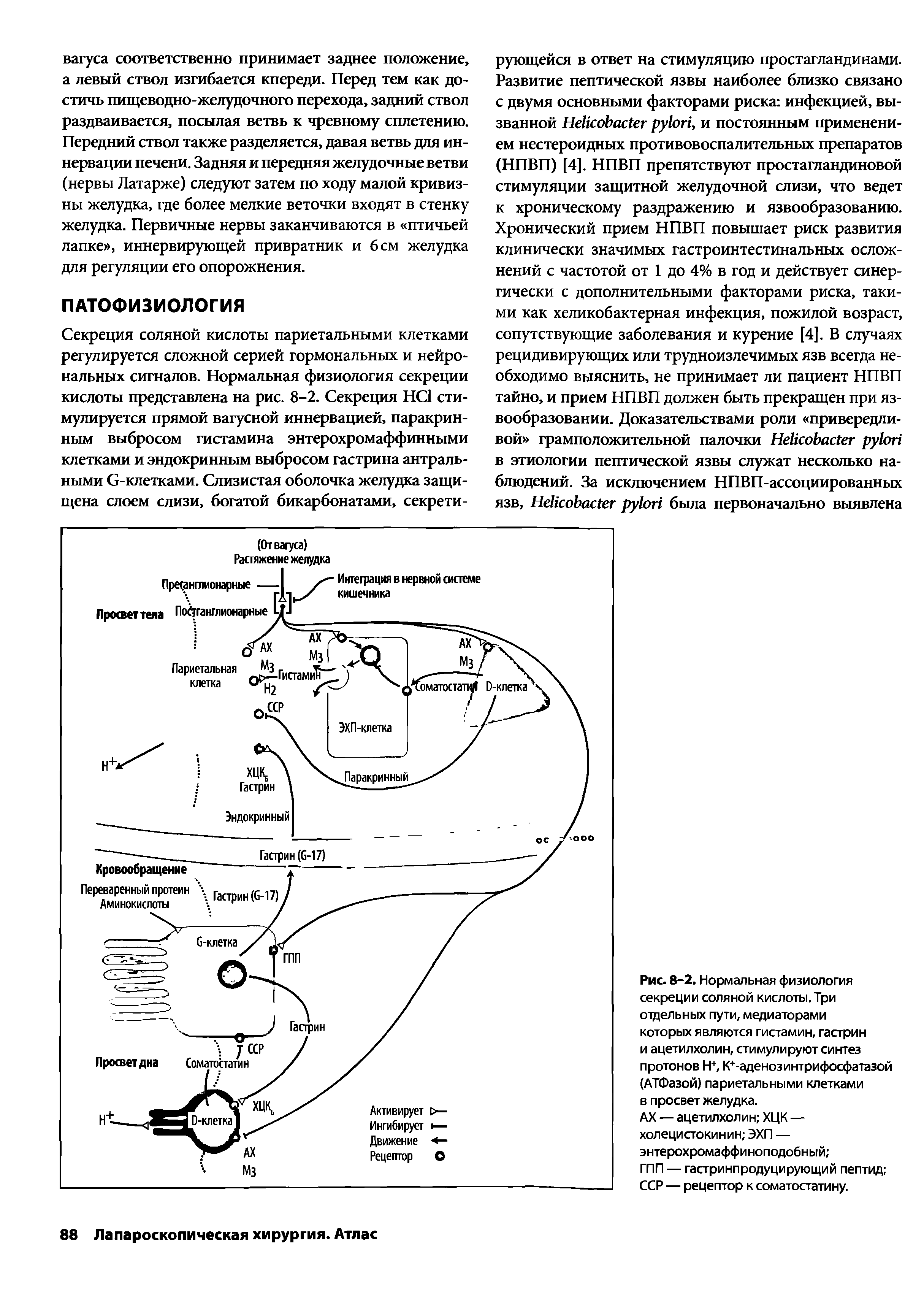 Рис. 8-2. Нормальная физиология секреции соляной кислоты. Три отдельных пути, медиаторами которых являются гистамин, гастрин и ацетилхолин, стимулируют синтез протонов Н+, К+-аденозинтрифосфатазой (АТФазой) париетальными клетками в просвет желудка.