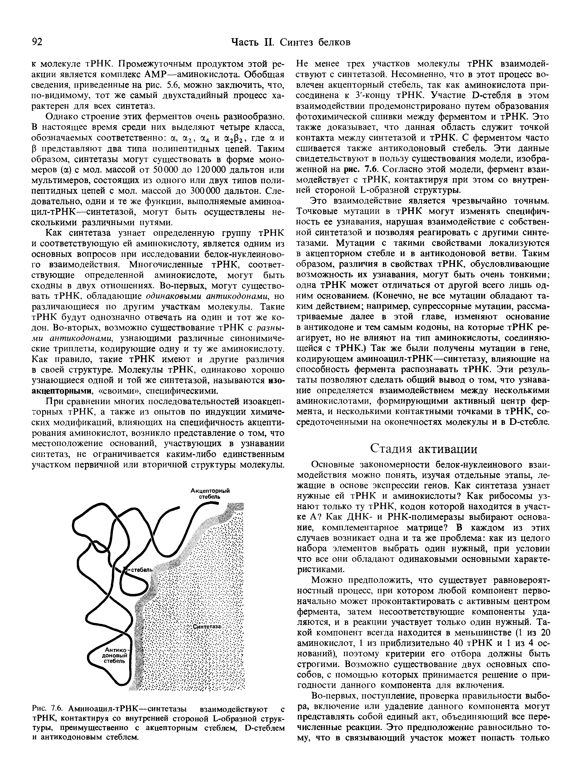 Рис. 7.6. Аминоацил-тРНК—синтетазы взаимодействуют с тРНК, контактируя со внутренней стороной Ь-образной структуры, преимущественно с акцепторным стеблем, О-стеблем и антикодоновым стеблем.