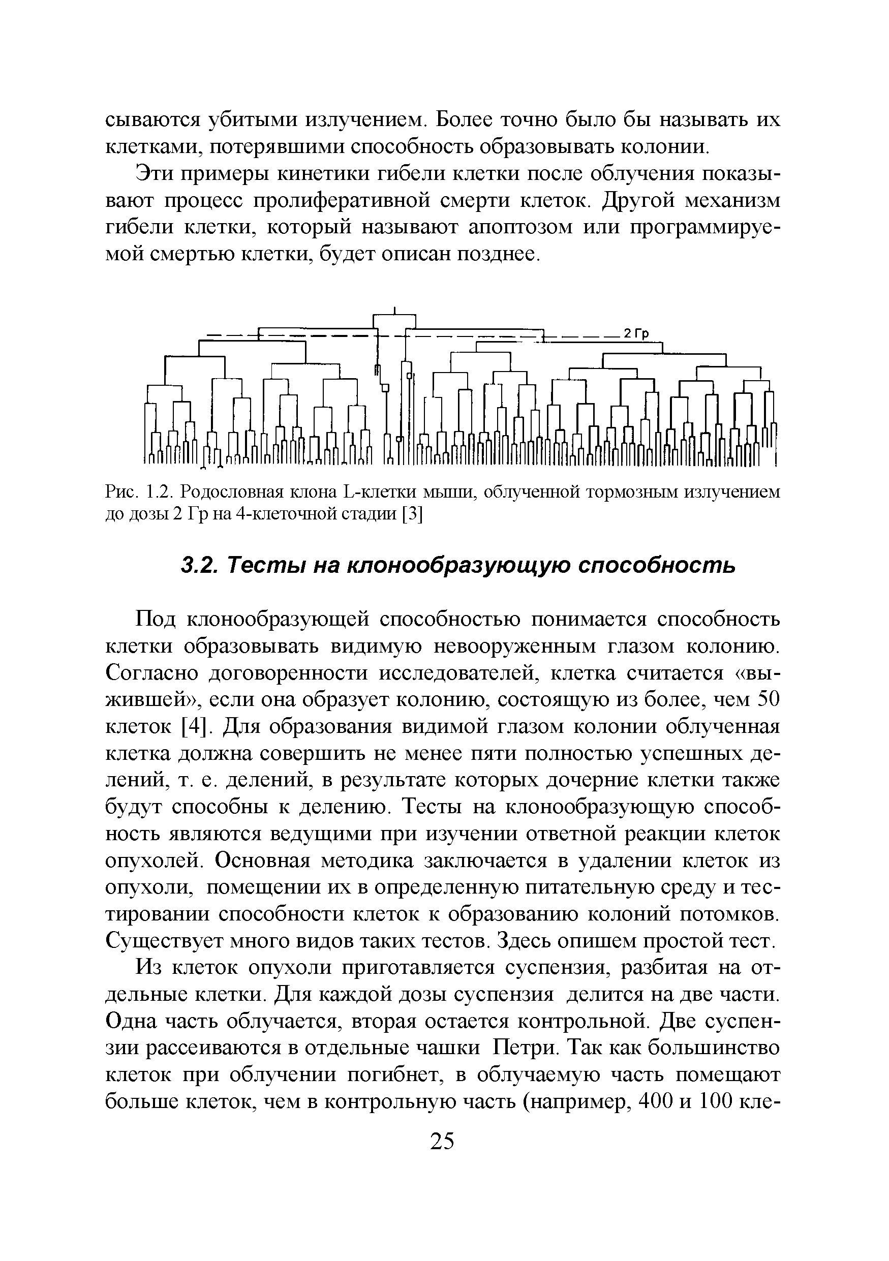 Рис. 1.2. Родословная клона Ь-клетки мыши, облученной тормозным излучением до дозы 2 Гр на 4-клеточной стадии [3]...