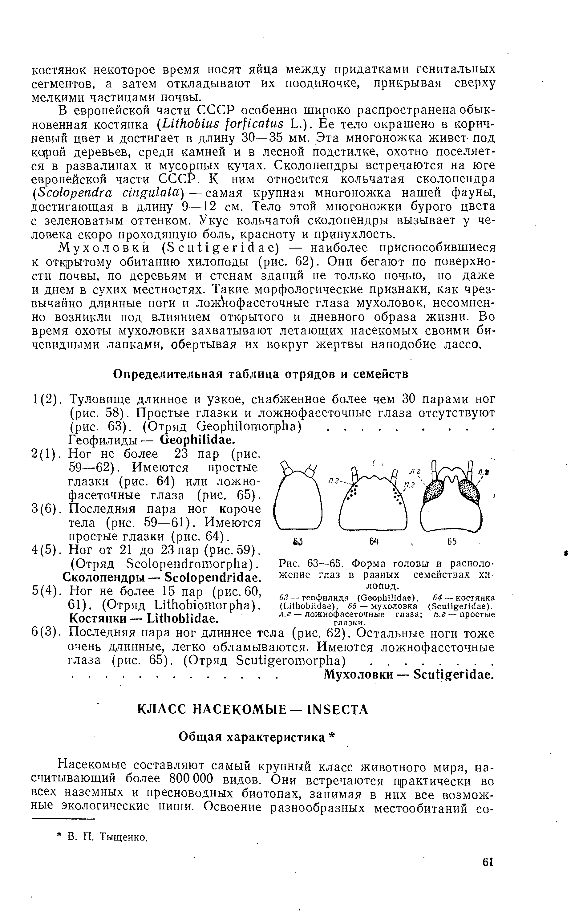 Рис. 63—65. Форма головы и расположение глаз в разных семействах хи-лойод.