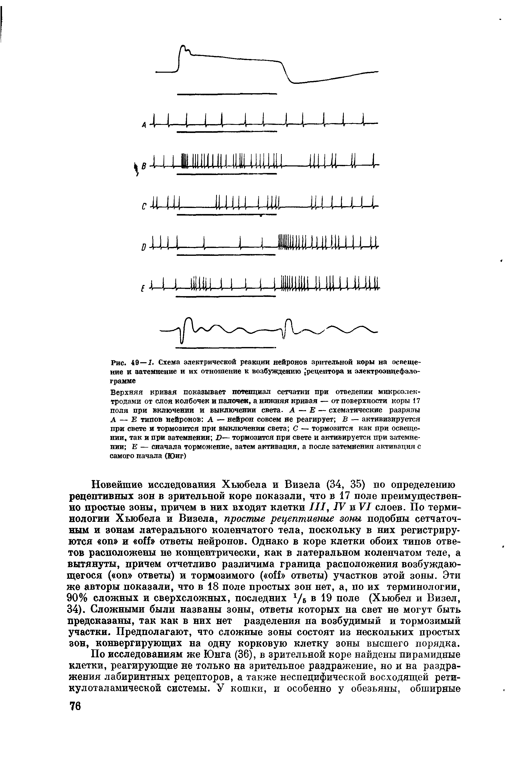 Рис. 49—2. Схема электрической реакции нейронов зрительной коры на освещение и затемнение и их отношение к возбуждению рецептора и электроэнцефалограмме...