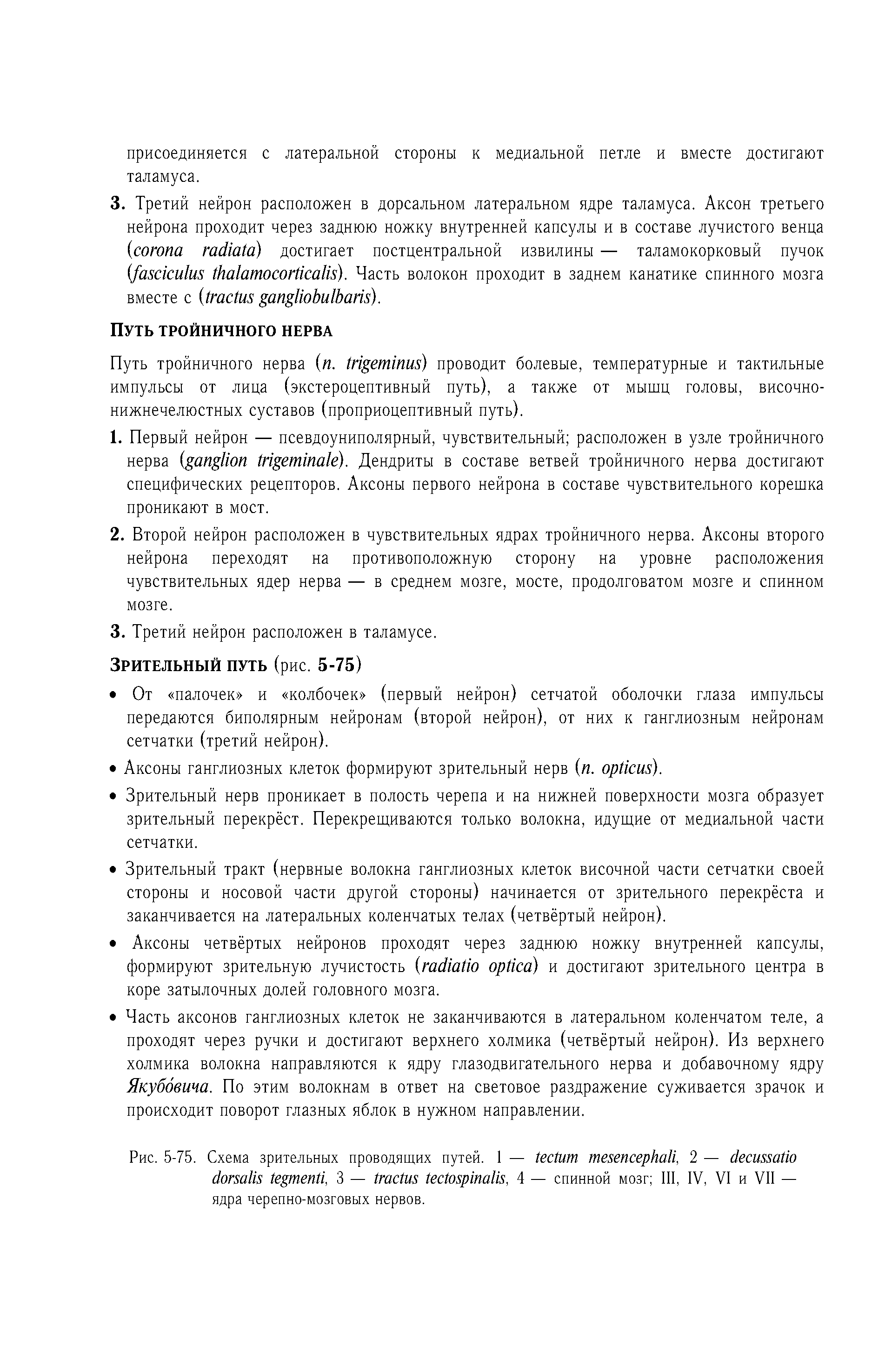 Рис. 5-75. Схема зрительных проводящих путей. 1 — , 2 — , 3 — , 4 — спинной мозг III, IV, VI и VII — ядра черепно-мозговых нервов.