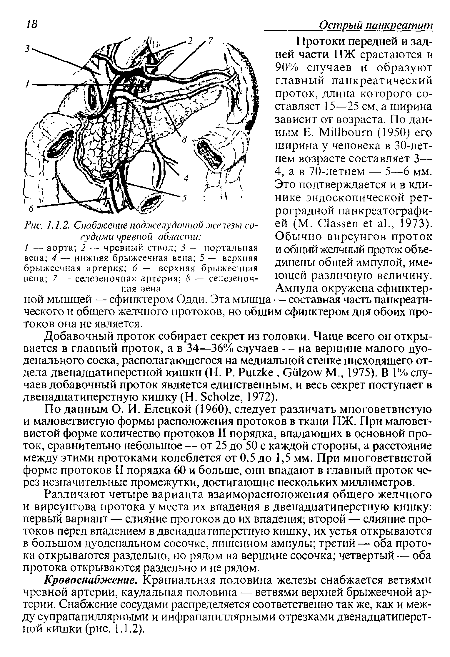 Рис. 1.1.2. Снабжение поджелудочной железы сосудами чревной области ...