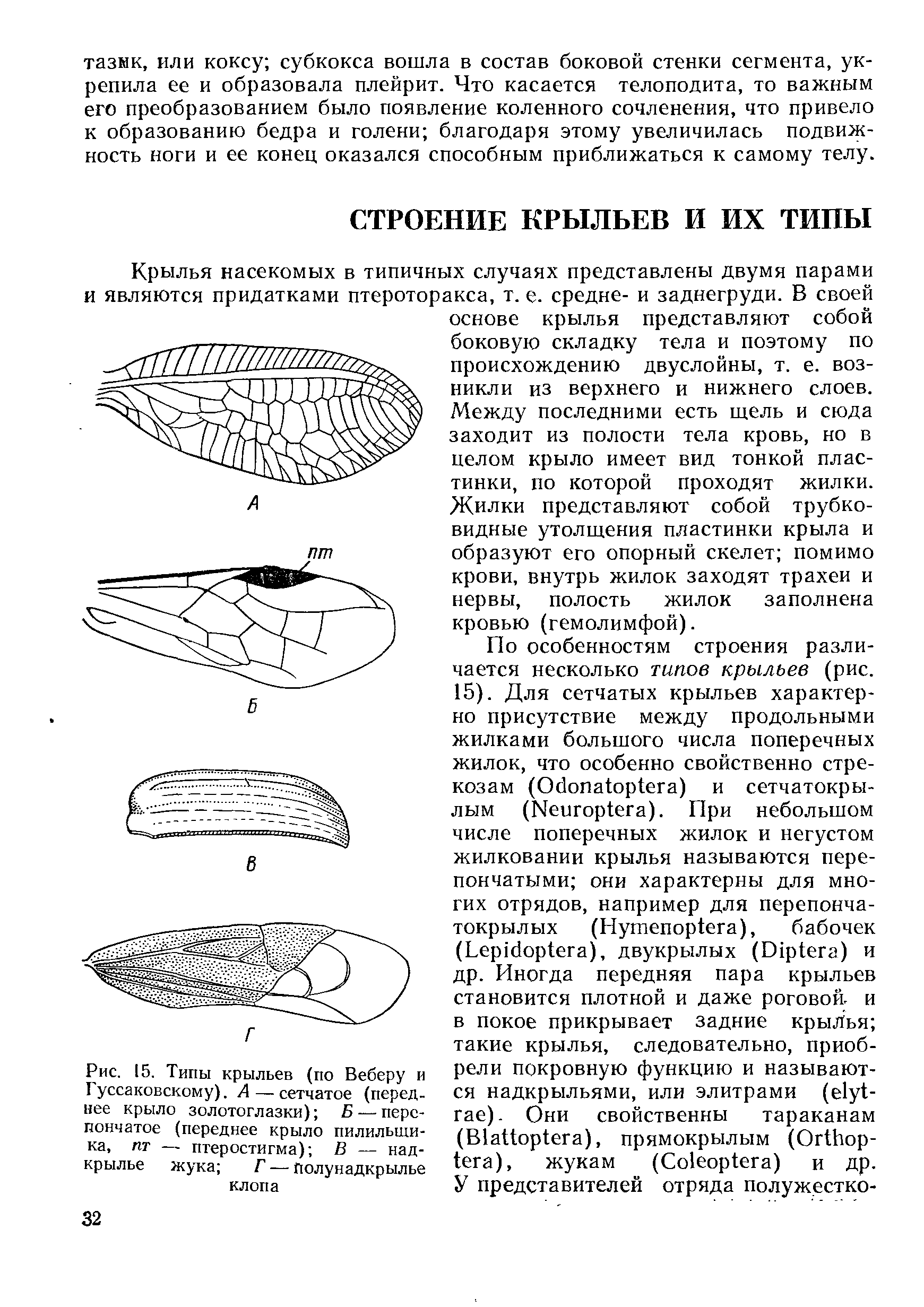 Рис. 15. Типы крыльев (по Веберу и I уссаковскому). А — сетчатое (переднее крыло золотоглазки) Б — перепончатое (переднее крыло пилильщика, пт — птеростигма) В — надкрылье жука Г — полунадкрылье клопа...
