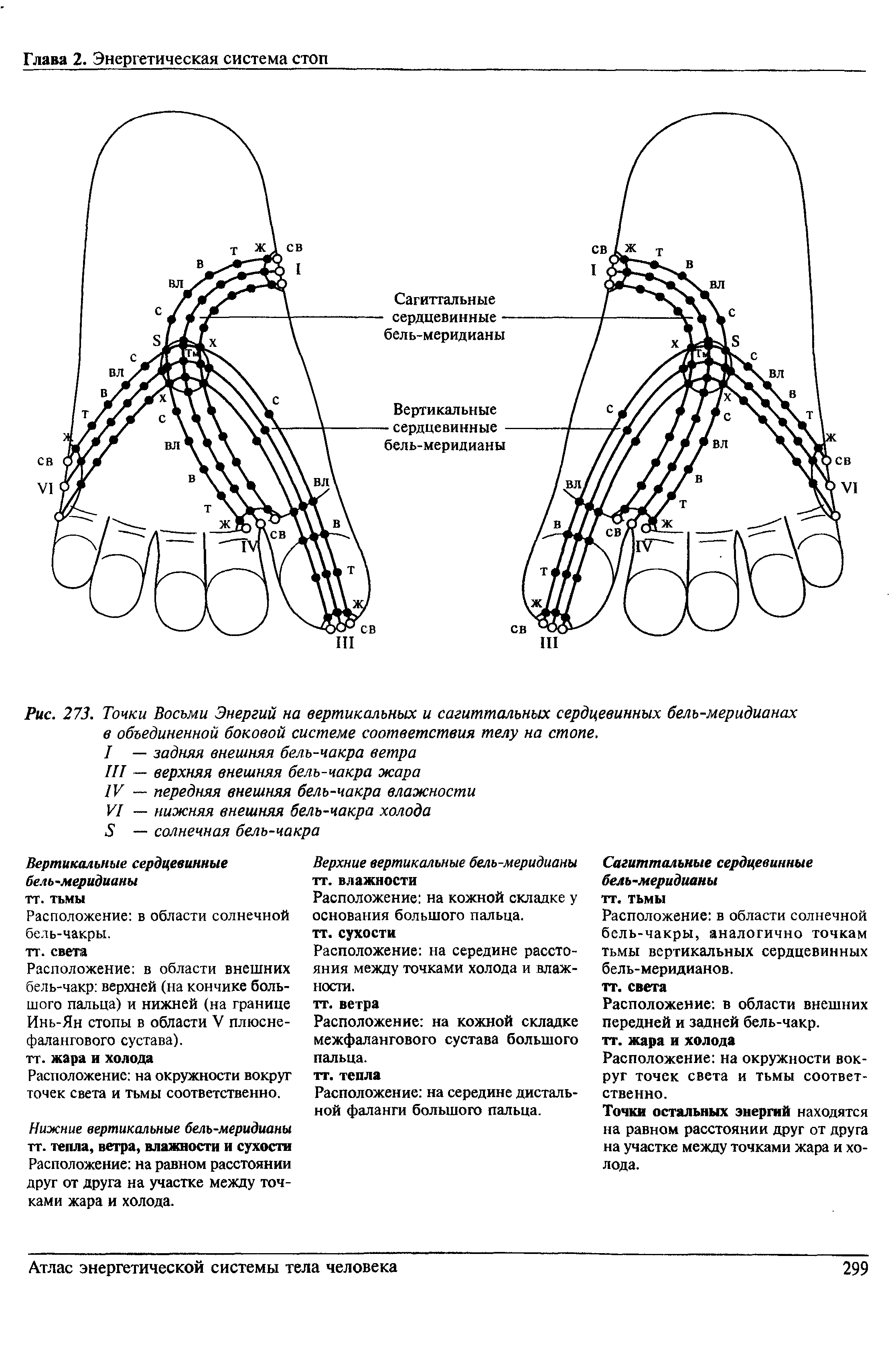 Рис. 273. Точки Восьми Энергий на вертикальных и сагиттальных сердцевинных бель-меридианах в объединенной боковой системе соответствия телу на стопе.