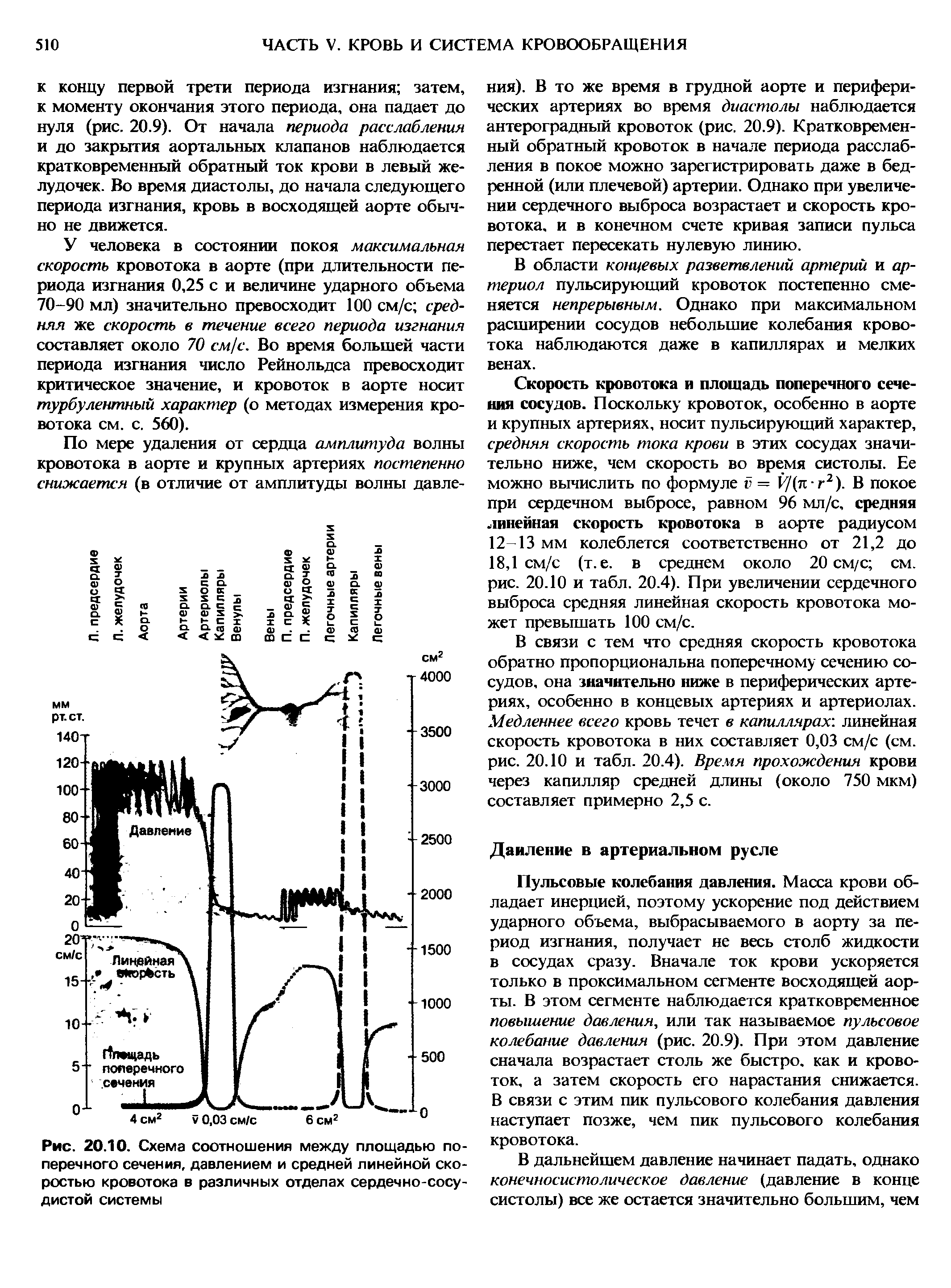 Рис. 20.10. Схема соотношения между площадью поперечного сечения, давлением и средней линейной скоростью кровотока в различных отделах сердечно-сосудистой системы...
