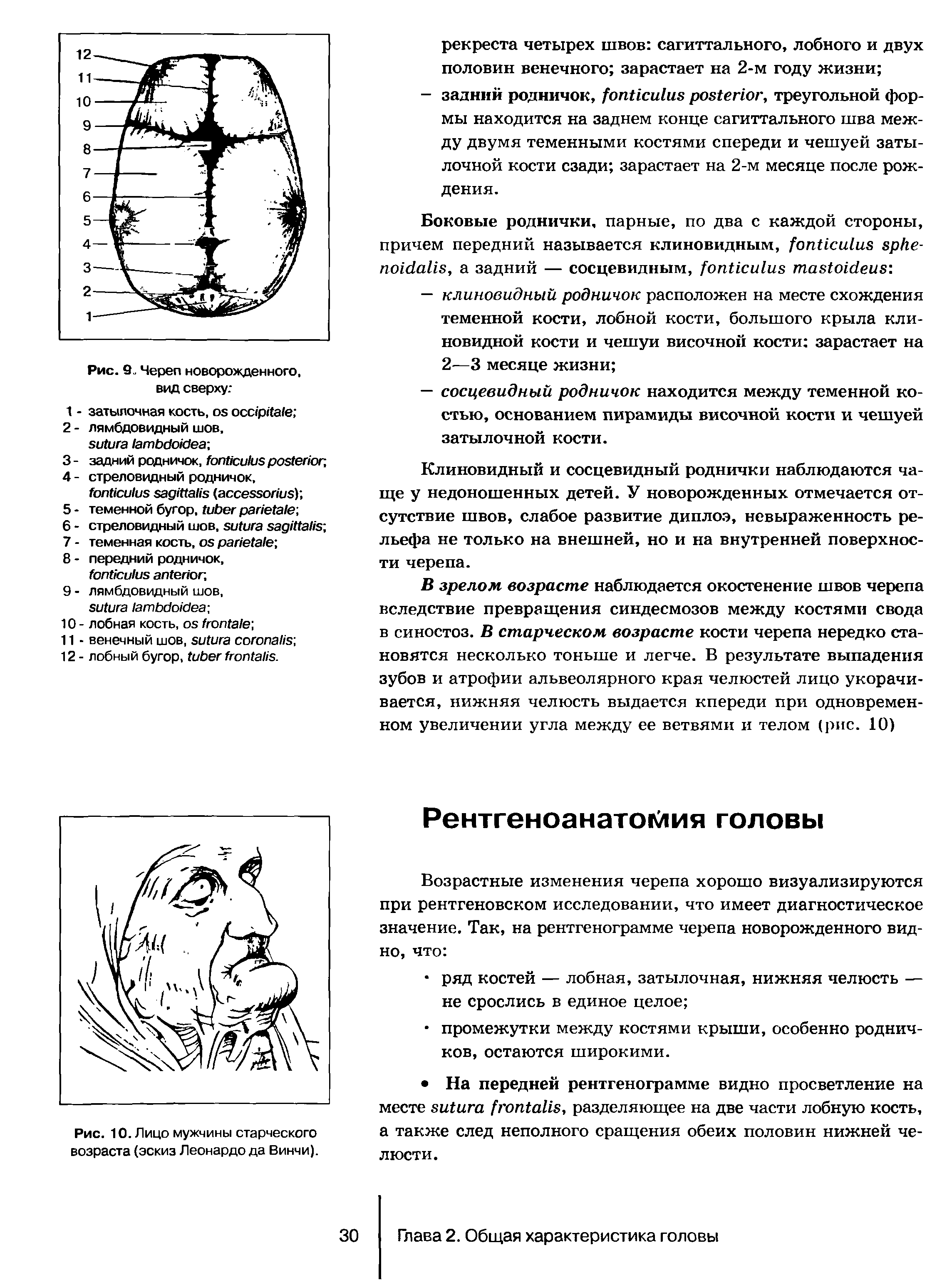 Рис. 10. Лицо мужчины старческого возраста (эскиз Леонардо да Винчи).