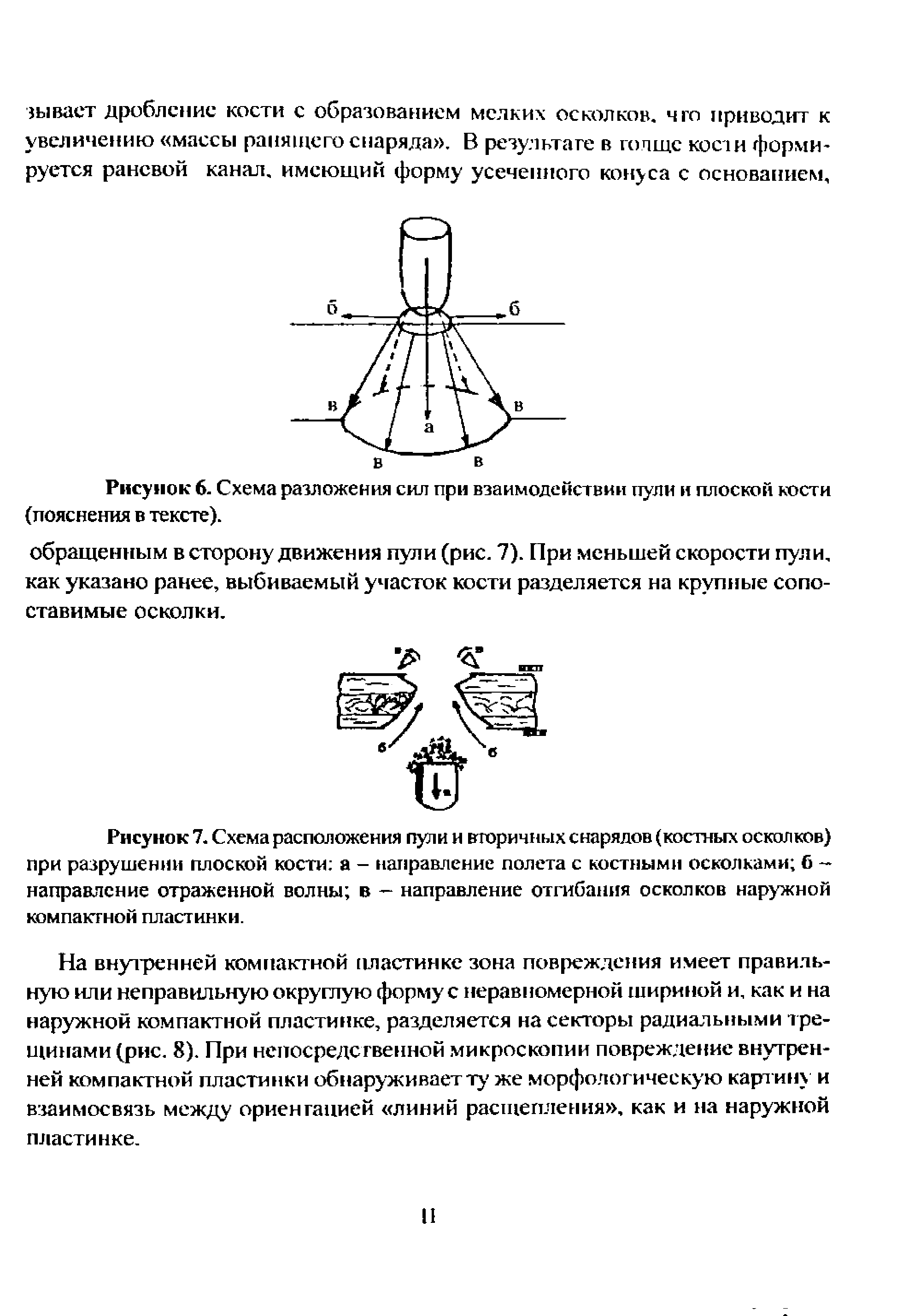 Рисунок 7. Схема расположения пули и вторичных снарядов (костных осколков) при разрушении плоской кости а - направление полета с костными осколками б — направление отраженной волны в — направление отгибания осколков наружной компактной пластинки.