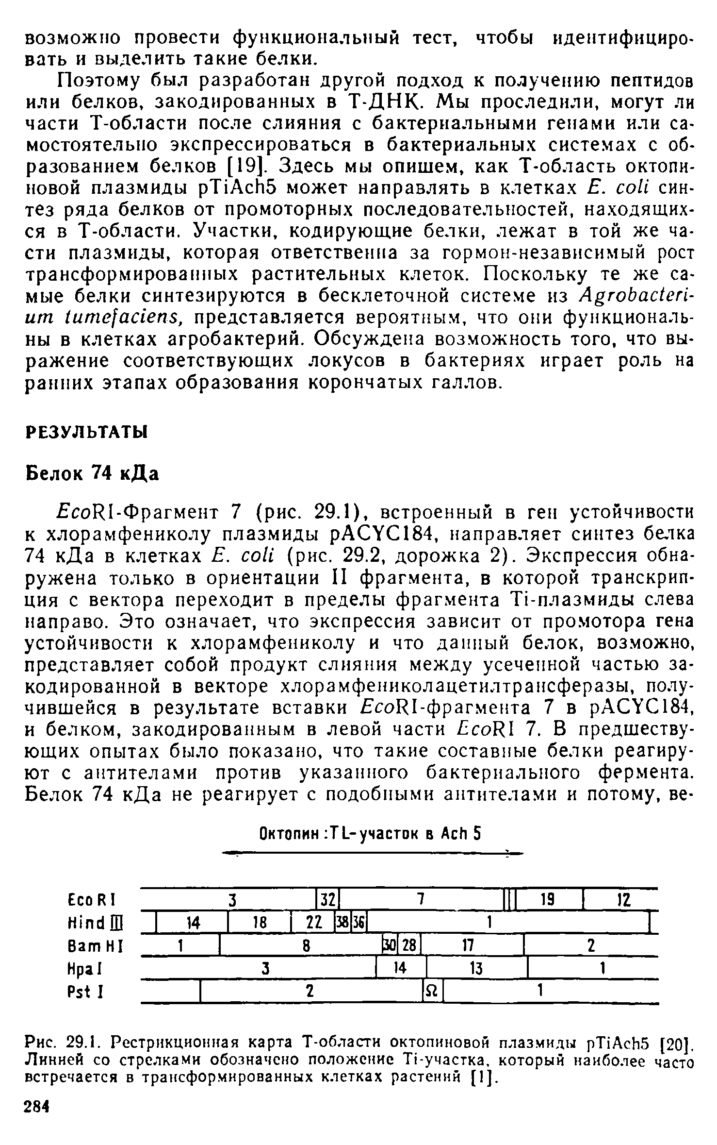 Рис. 29.1. Рестрикционная карта Т-области октопиновой плазмиды рИАсЬ5 [20]. Линней со стрелками обозначено положение ТЬучастка, который наиболее часто встречается в трансформированных клетках растений [1].