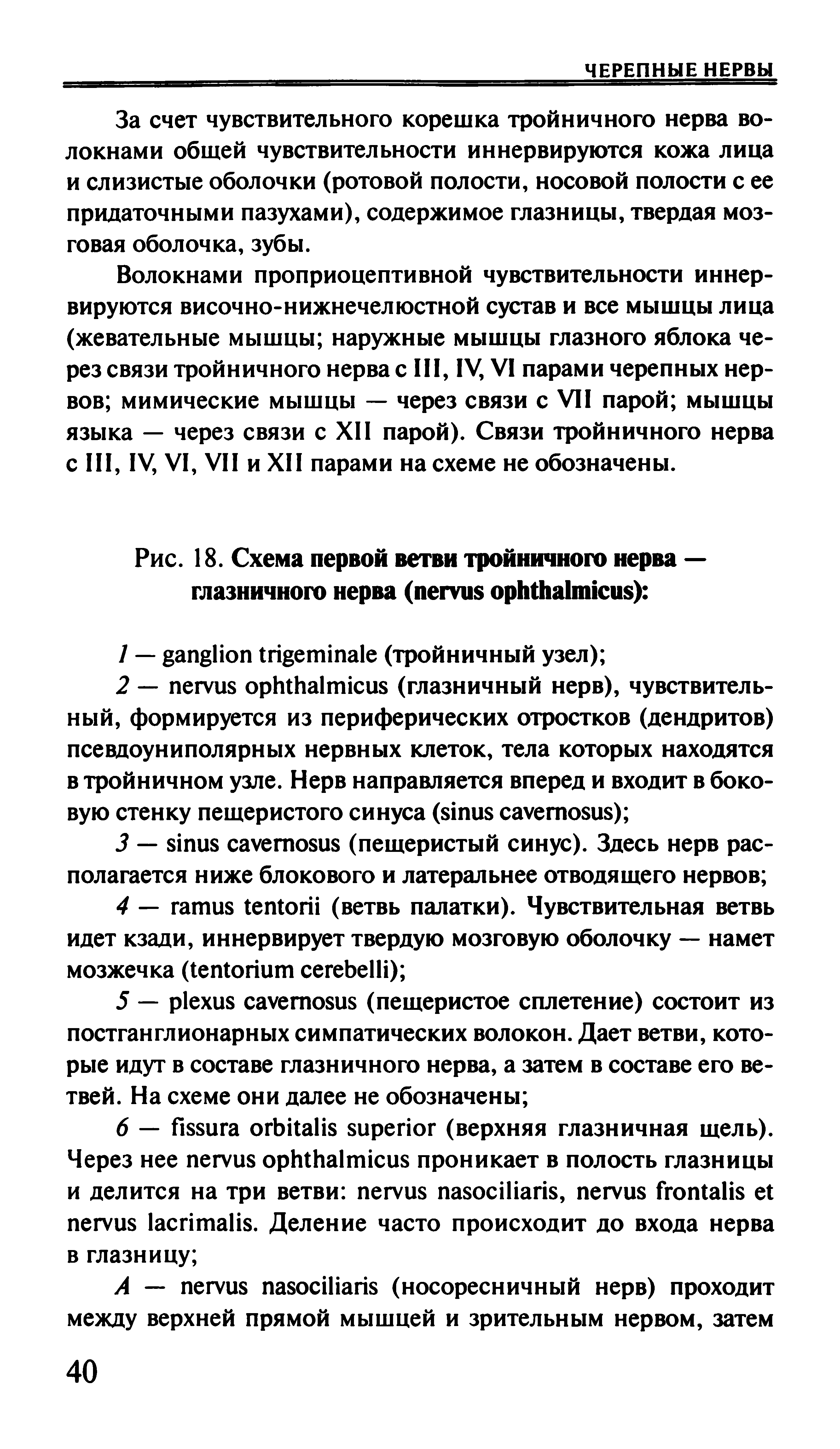 Рис. 18. Схема первой ветви тройничного нерва — глазничного нерва ( ) ...