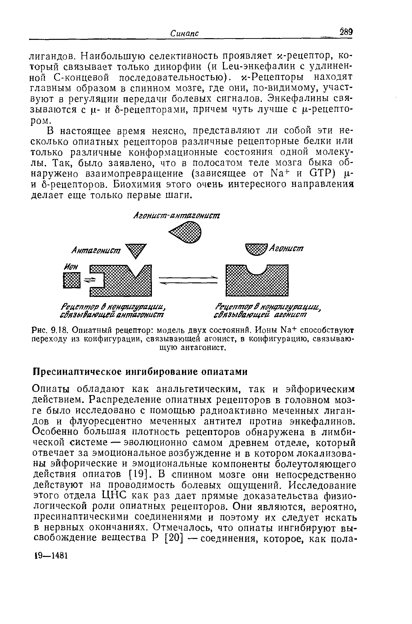 Рис. 9.18. Опиатный рецептор модель двух состояний. Ионы N3+ способствуют переходу из конфигурации, связывающей агонист, в конфигурацию, связывающую антагонист.