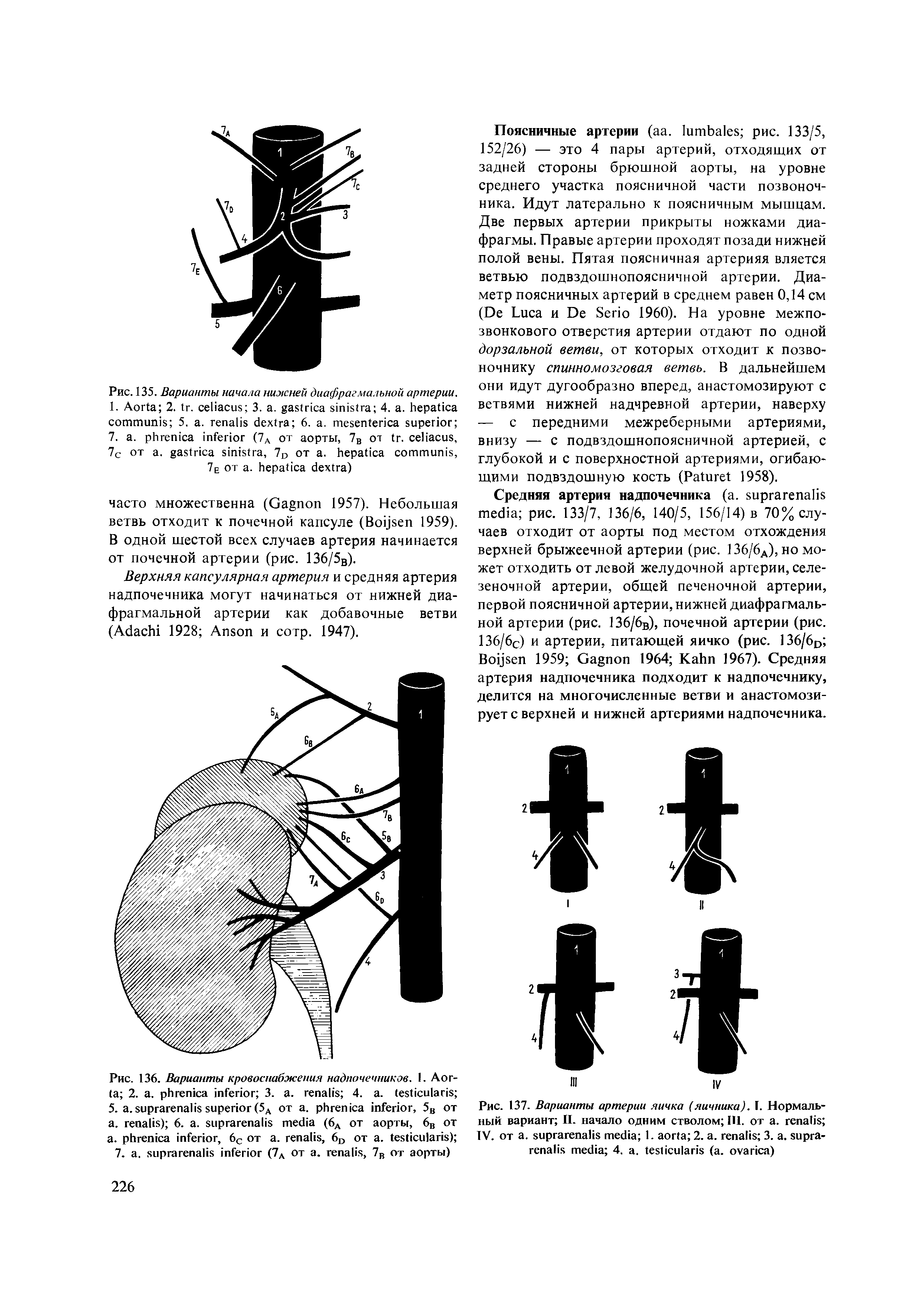 Рис. 137. Варианты артерии яичка (яичника). I. Нормальный вариант II. начало одним стволом III. от . IV. от . 1. 2. . 3. . 4. . ( . )...