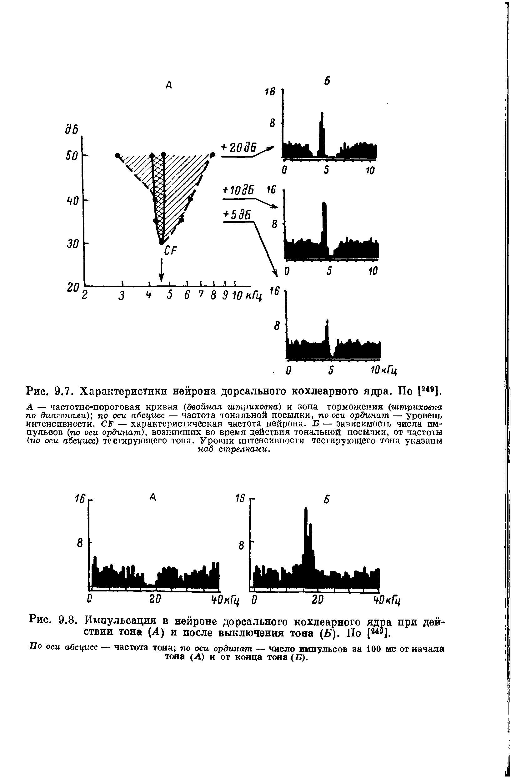 Рис. 9.8. Импульсация в нейроне дорсального кохлеарного ядра при действии тона (4) и после выключения тона (Б). По [м ].