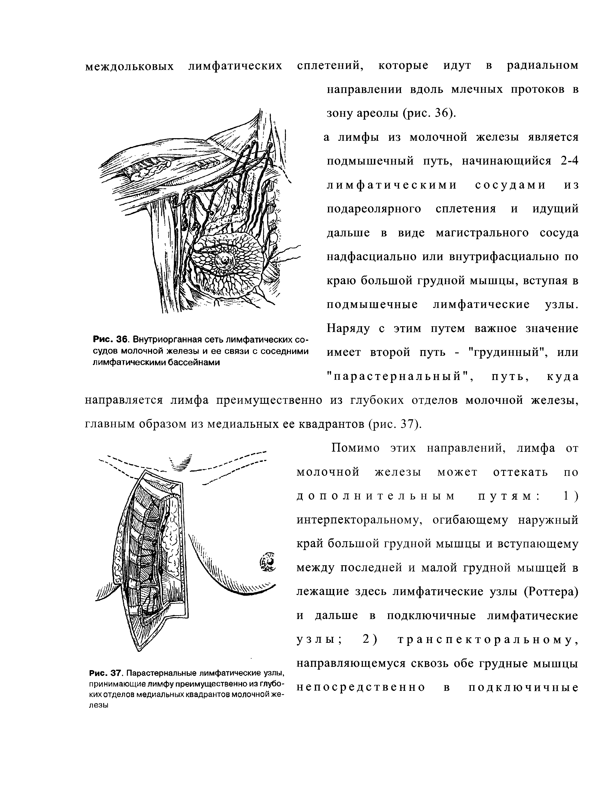 Рис. 36. Внутриорганная сеть лимфатических сосудов молочной железы и ее связи с соседними лимфатическими бассейнами...