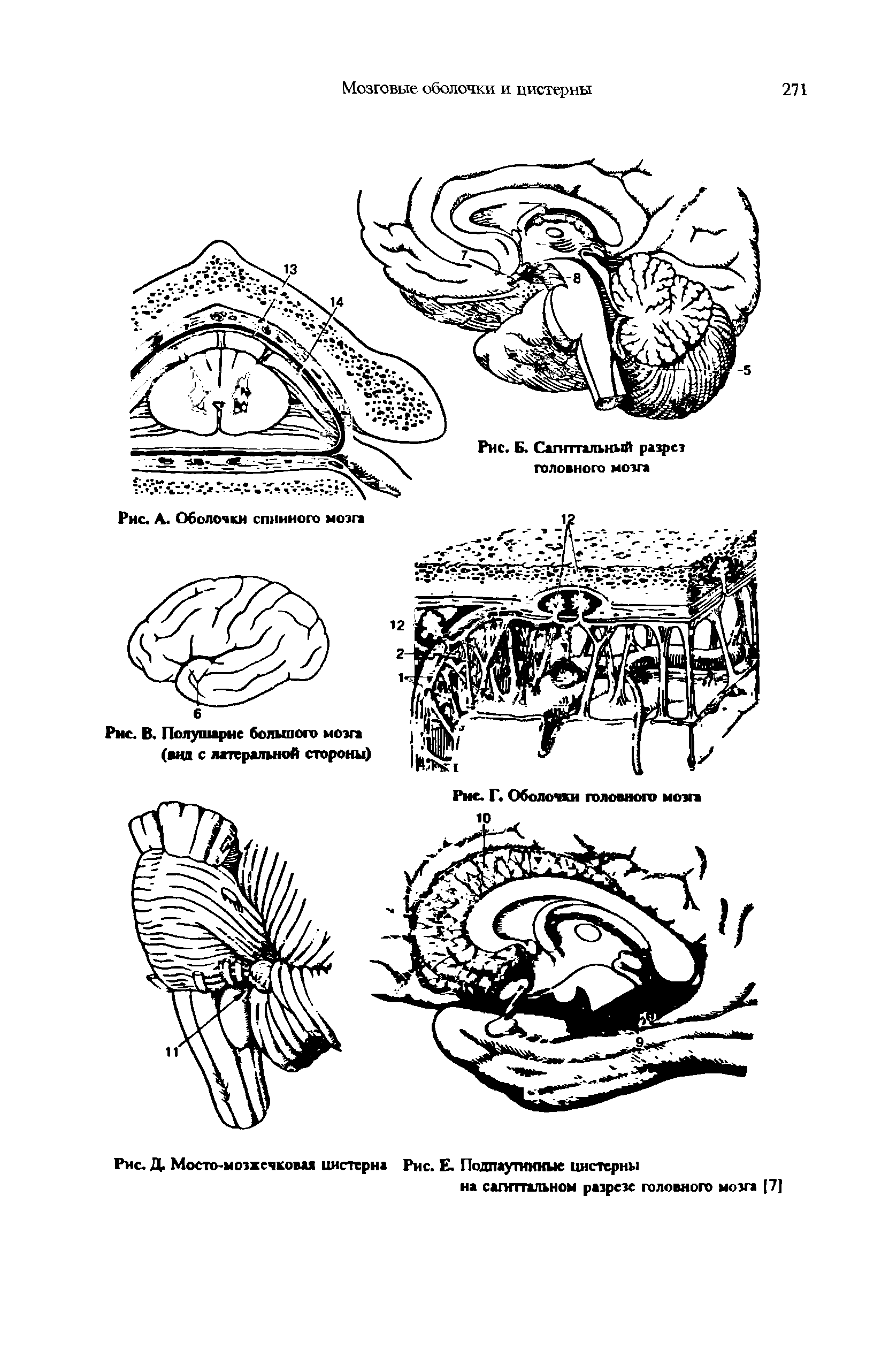 Рис. Д. Мосто-мозжечковая цистерна Рис. Е. Подпаутинные цистерны на сагиттальном разрезе головного мозга [7]...