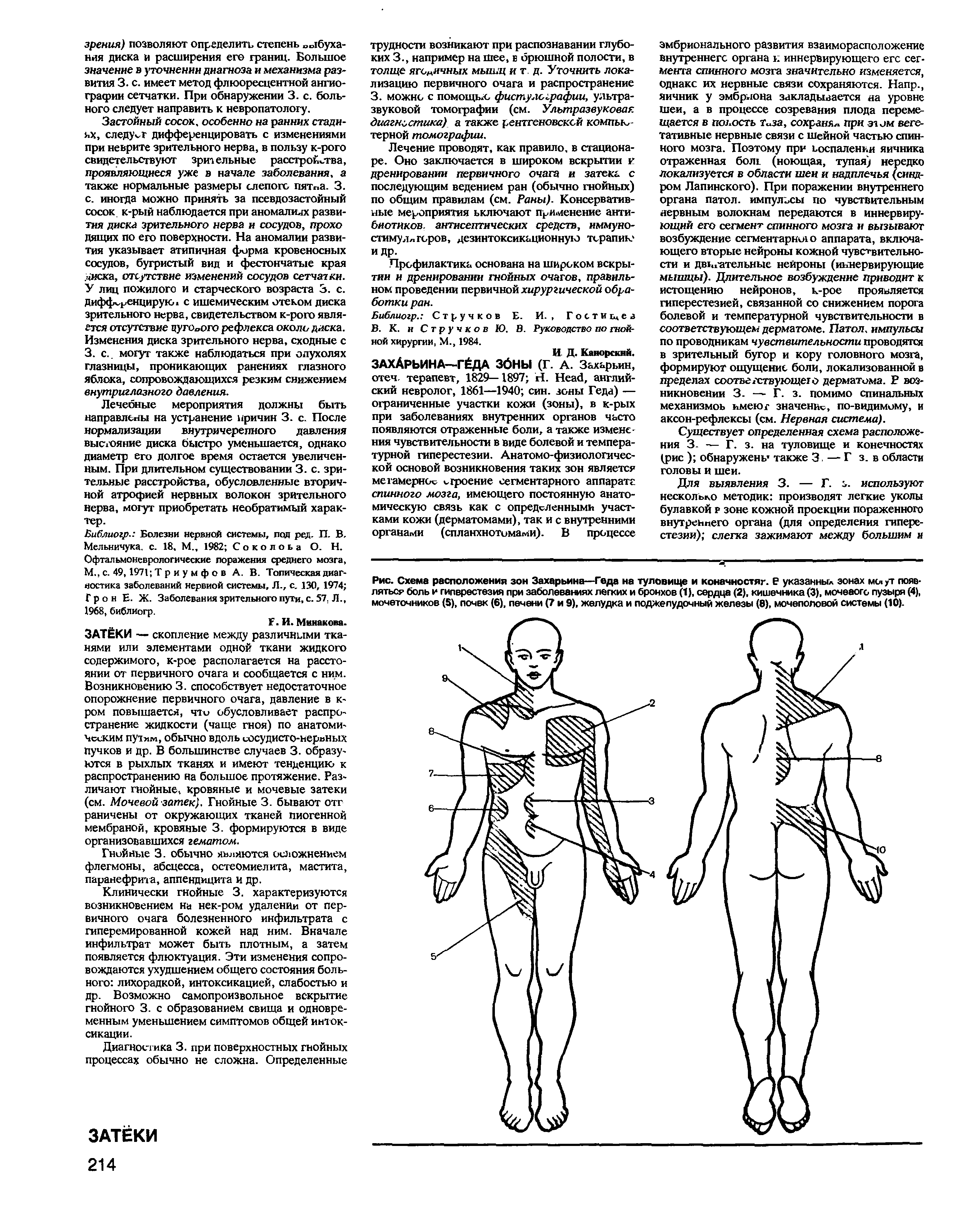 Рис. Схема расположения зон Захарьина—Геда на туловище и коначностяг. Е указанных зонах мслут появляться боль и гиперестезия при заболеваниях легких и бронхов (1), сердца (2), кишечника (3), мочевого пузыря (4), мочеточников (5), почвк (6), печени (7 и 9), желудка и поджелудочный железы (8), мочеполовой системы (10).