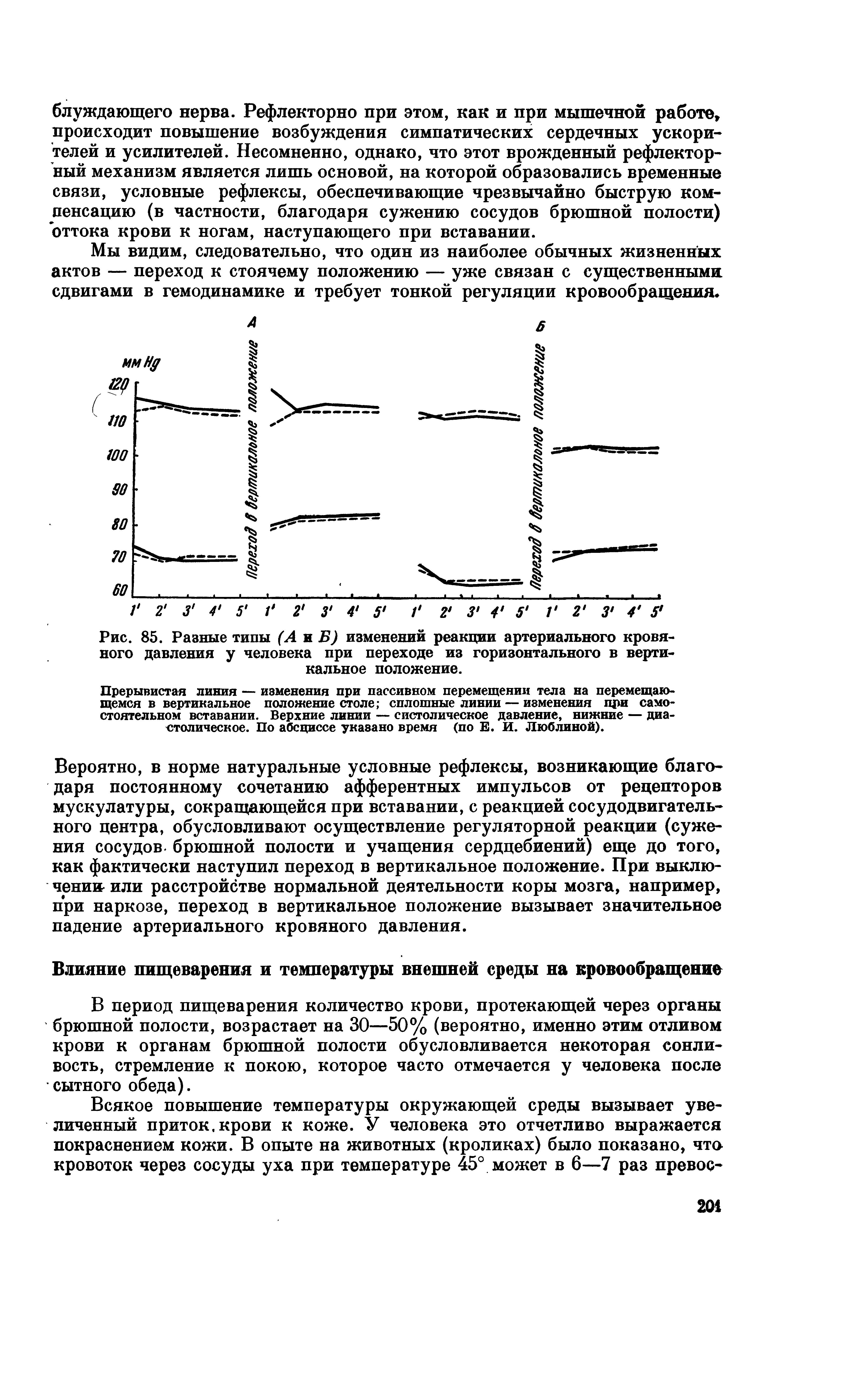 Рис. 85. Разные типы (А и Б) изменений реакции артериального кровяного давления у человека при переходе из горизонтального в верти-...