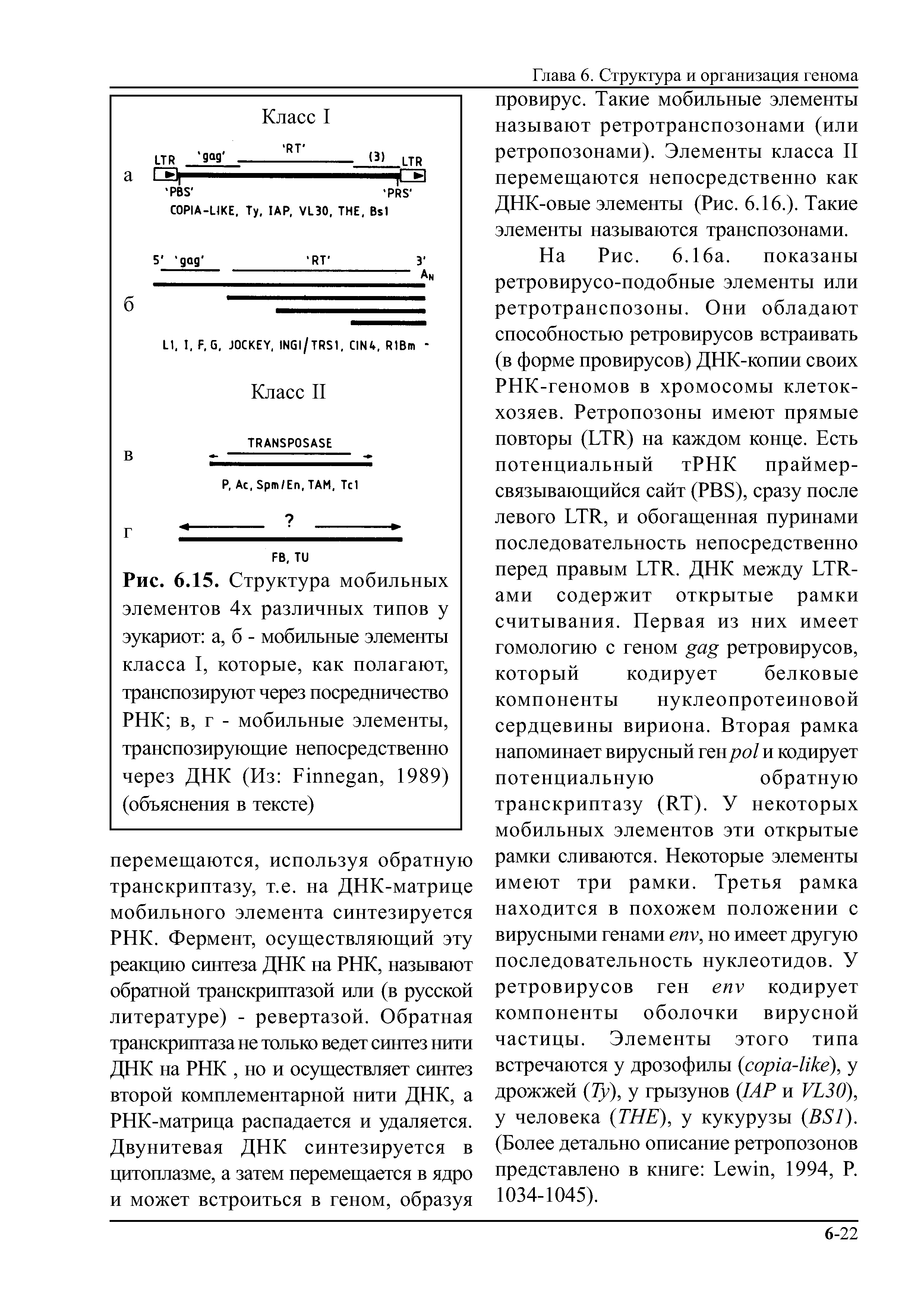 Рис. 6.15. Структура мобильных элементов 4х различных типов у эукариот а, б - мобильные элементы класса I, которые, как полагают, транспозируют через посредничество РНК в, г - мобильные элементы, транспозирующие непосредственно через ДНК (Из F , 1989) (объяснения в тексте)...