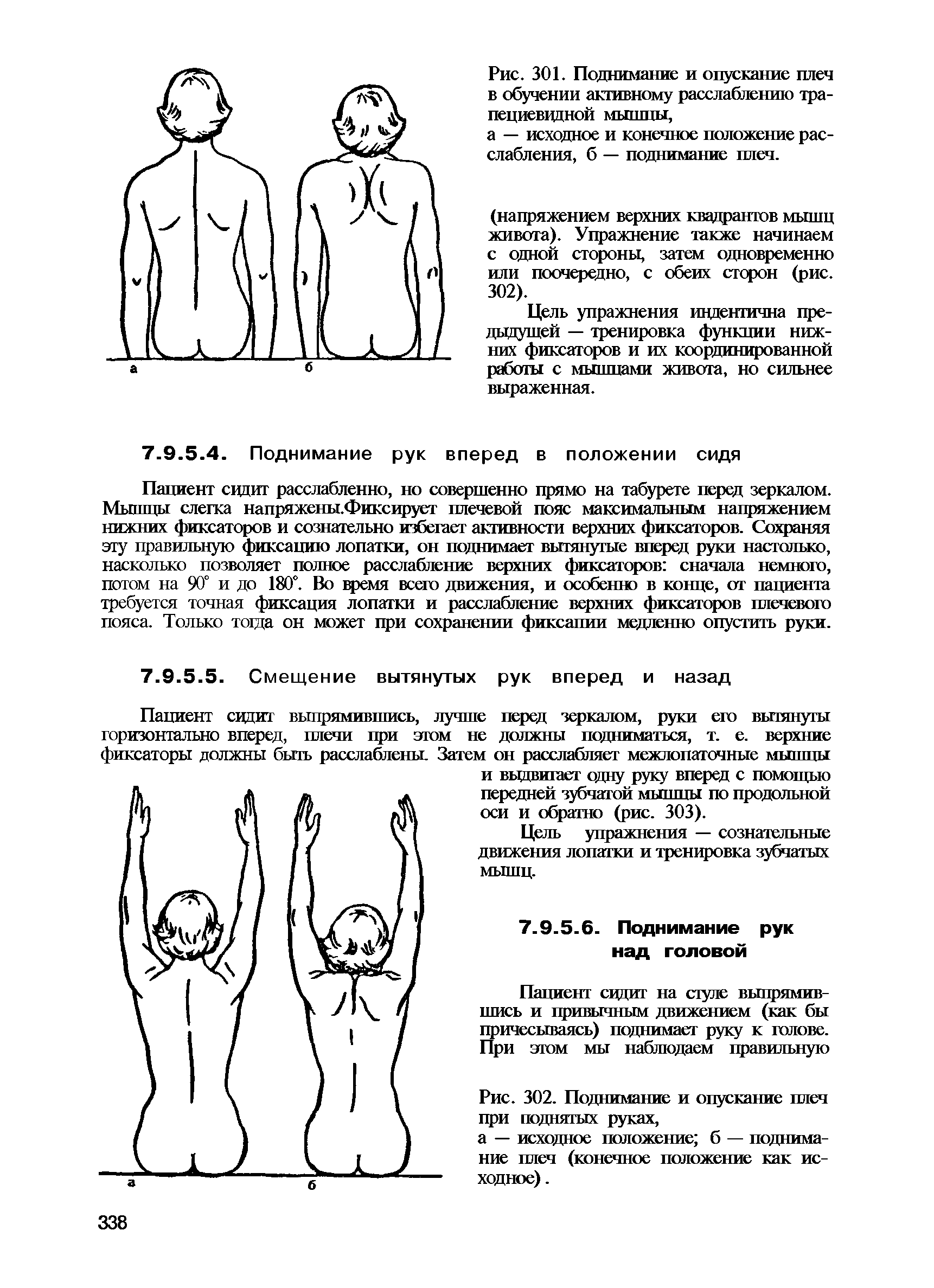 Рис. 302. Поднимание и опускание плеч при поднятых руках, а — исходное положение б — поднимание плеч (конечное положение как исходное). ...