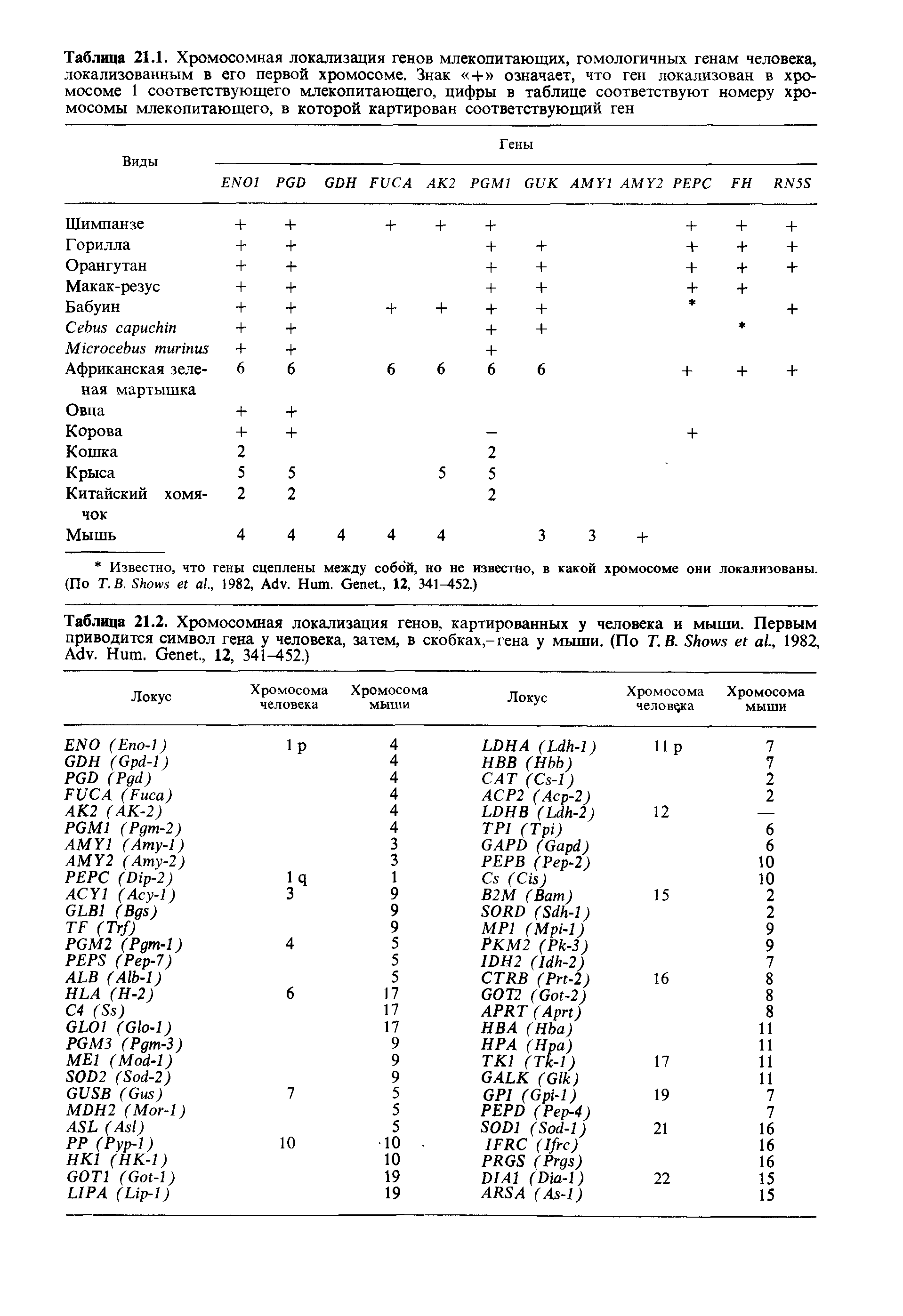 Таблица 21.2. Хромосомная локализация генов, картированных у человека и мыши. Первым приводится символ гена у человека, затем, в скобках,-гена у мыши. (По Т.В. S ., 1982, A . H . G ., 12, 341-452.)...