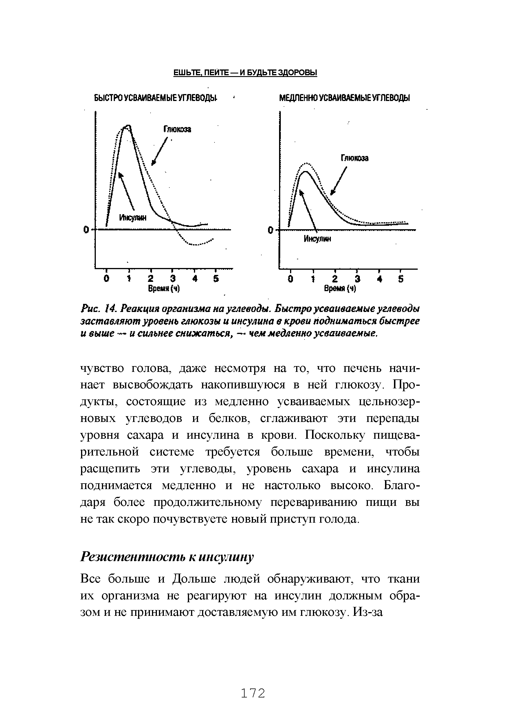 Рис. 14. Реакция организма на углеводы. Быстро усваиваемые углеводы заставляют уровень глюкозы и инсулина в крови подниматься быстрее и выше — и сильнее снижаться, — чем медленно усваиваемые.