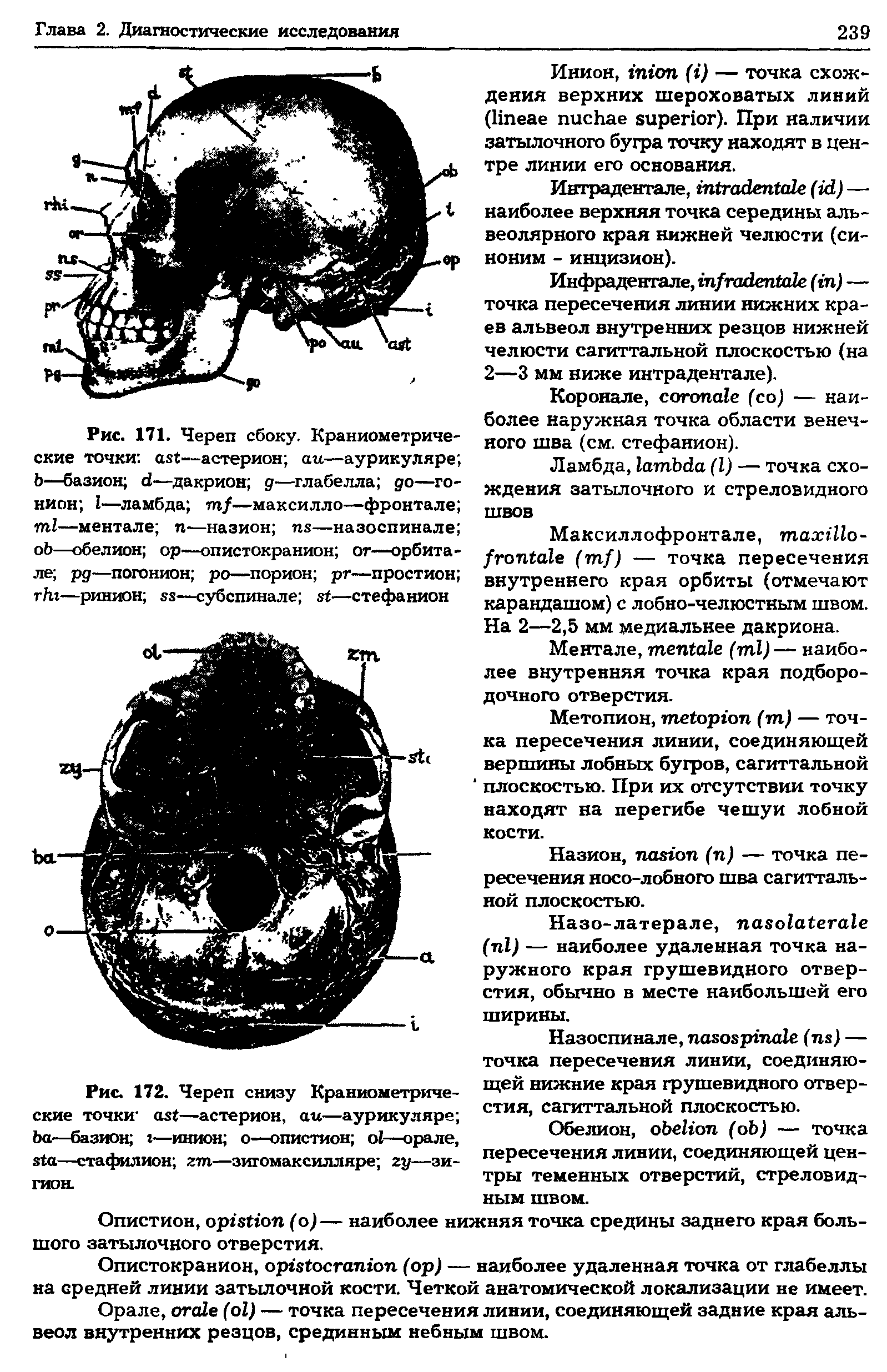 Рис. 172. Череп снизу Краниометрические точки —астерион, —аурикуляре —базион —инион о—опистион —орале, —стафилион —зигомаксилляре —зи-гион.