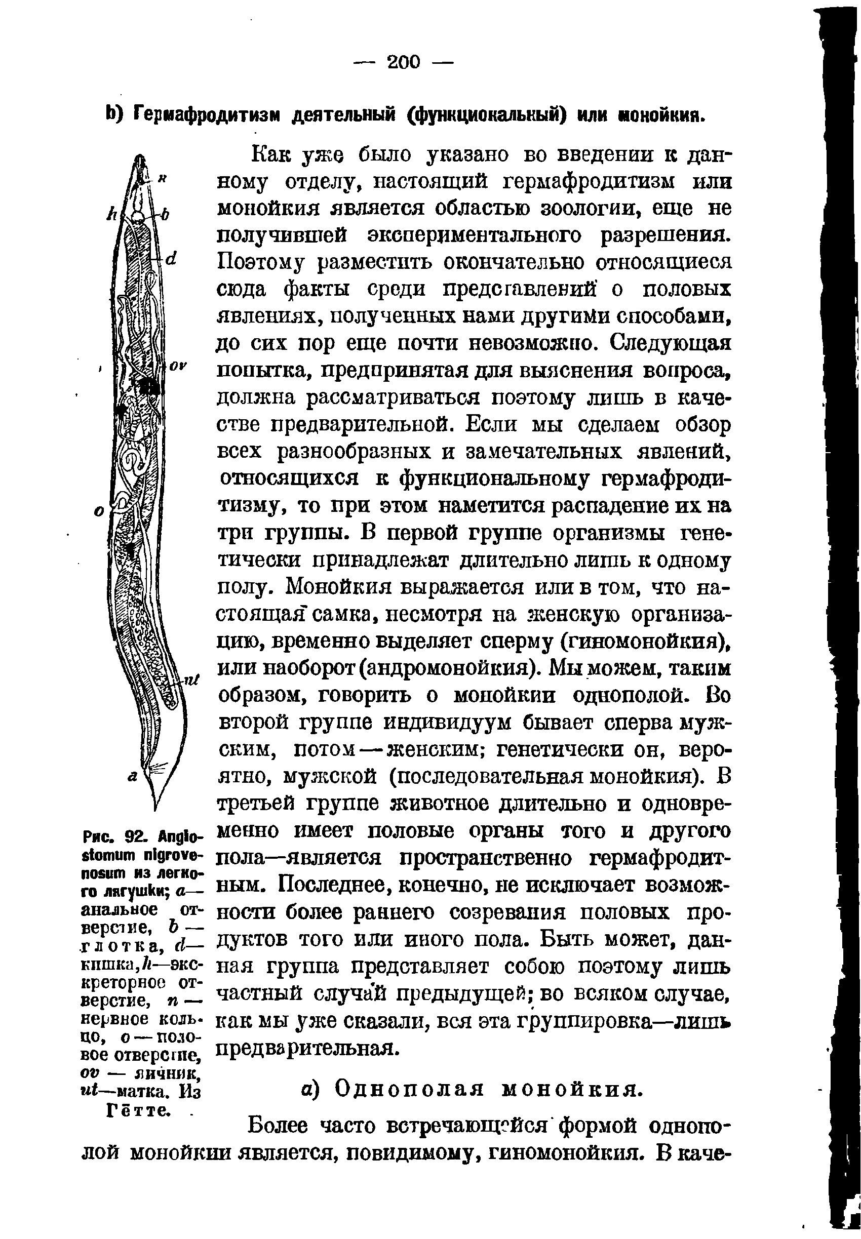 Рис. 92. Апд1о- Ьтшп п дгоуе-пояит из легкого лягушки а— анальное отверстие, Ъ — глотка, й— кишка, к—экскреторное отверстие, п — нервное кольцо, о — половое отверстие, ои — яичник, н/—матка. Из...