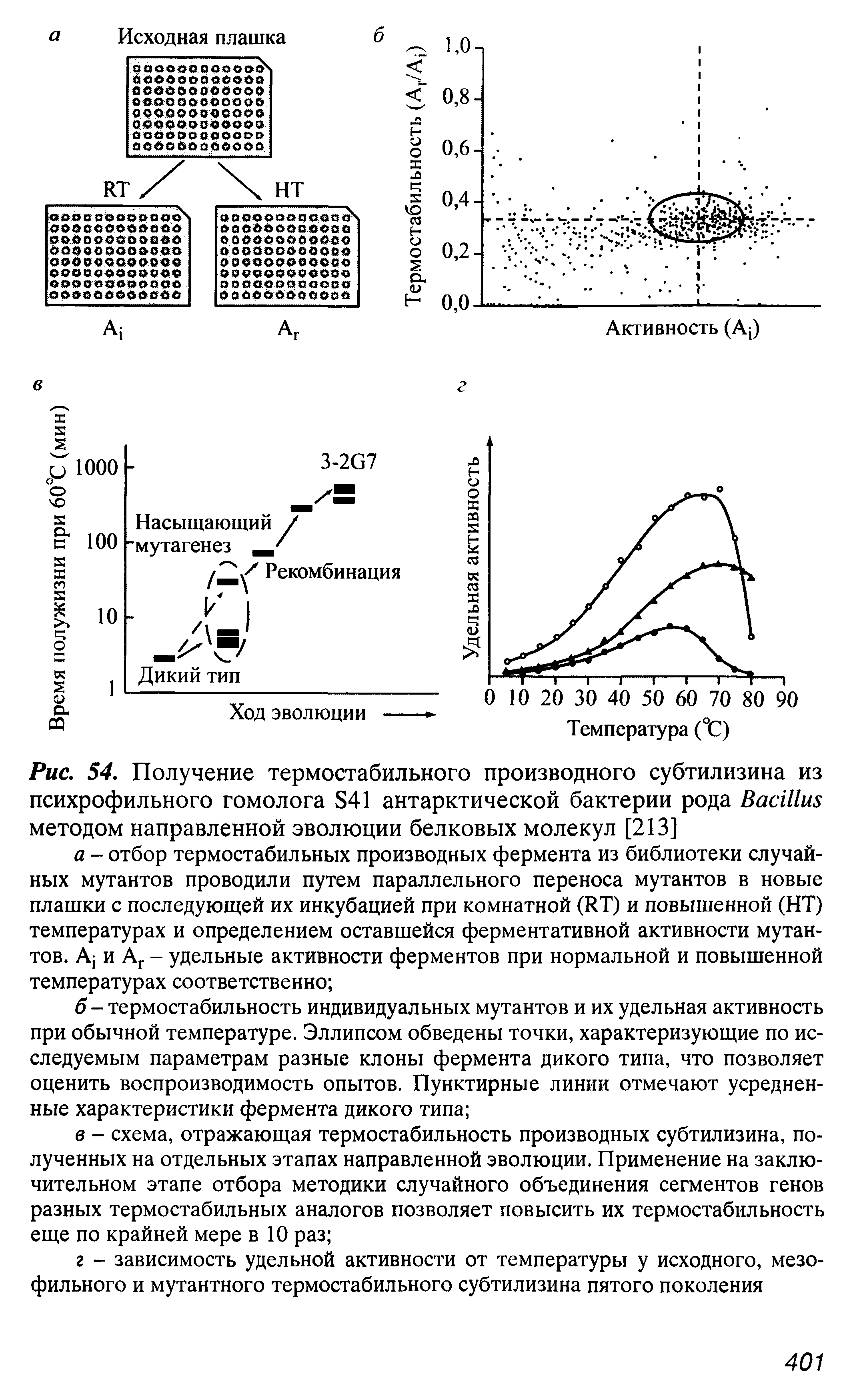 Рис. 54. Получение термостабильного производного субтилизина из психрофильного гомолога S41 антарктической бактерии рода B методом направленной эволюции белковых молекул [213]...