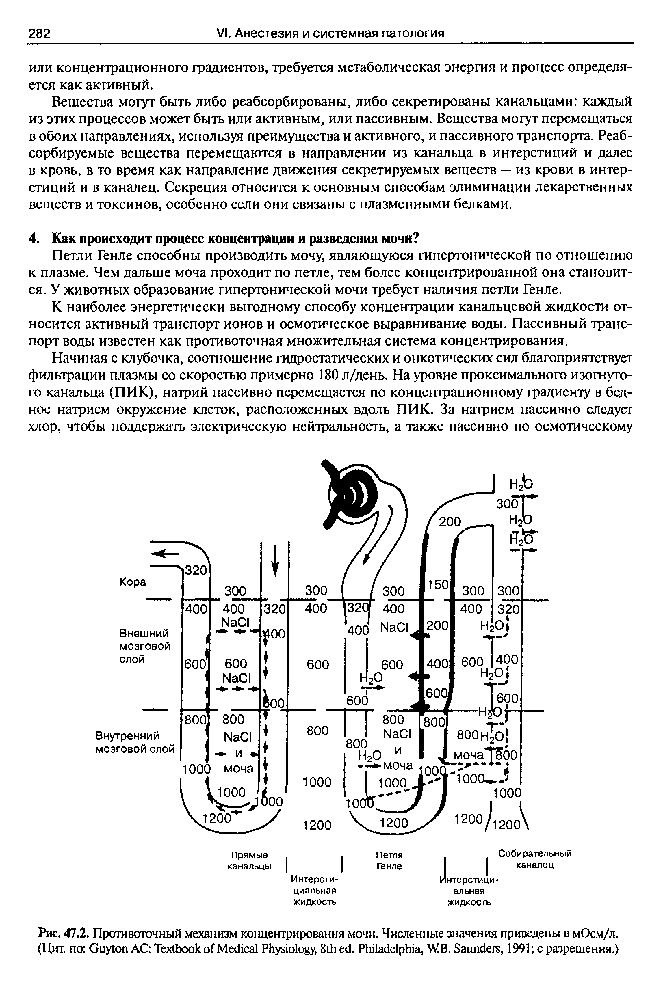 Рис. 47.2. Противоточный механизм концентрирования мочи. Численные значения приведены в мОсм/л. (Цит. по G AC T M P , 8 . P , WB. S , 1991 с разрешения.)...
